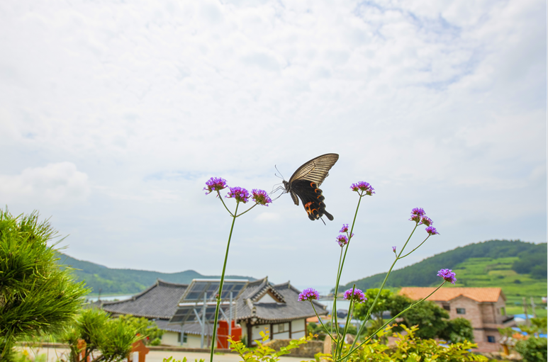완도 청산도락한옥펜션 팁 & 고려사항 이미지
