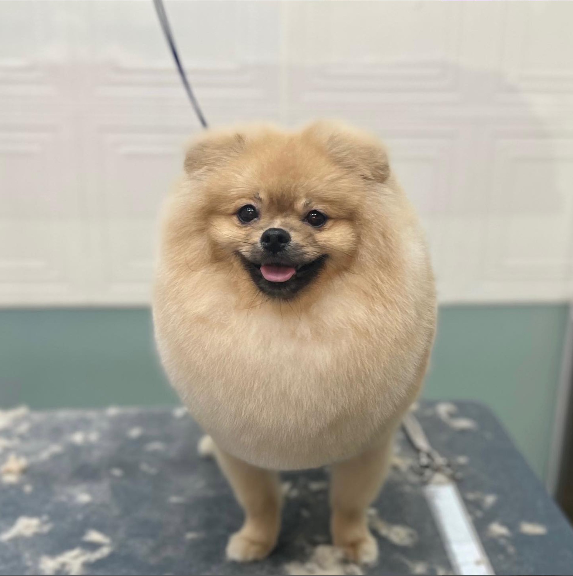 웅살롱 대표 이미지