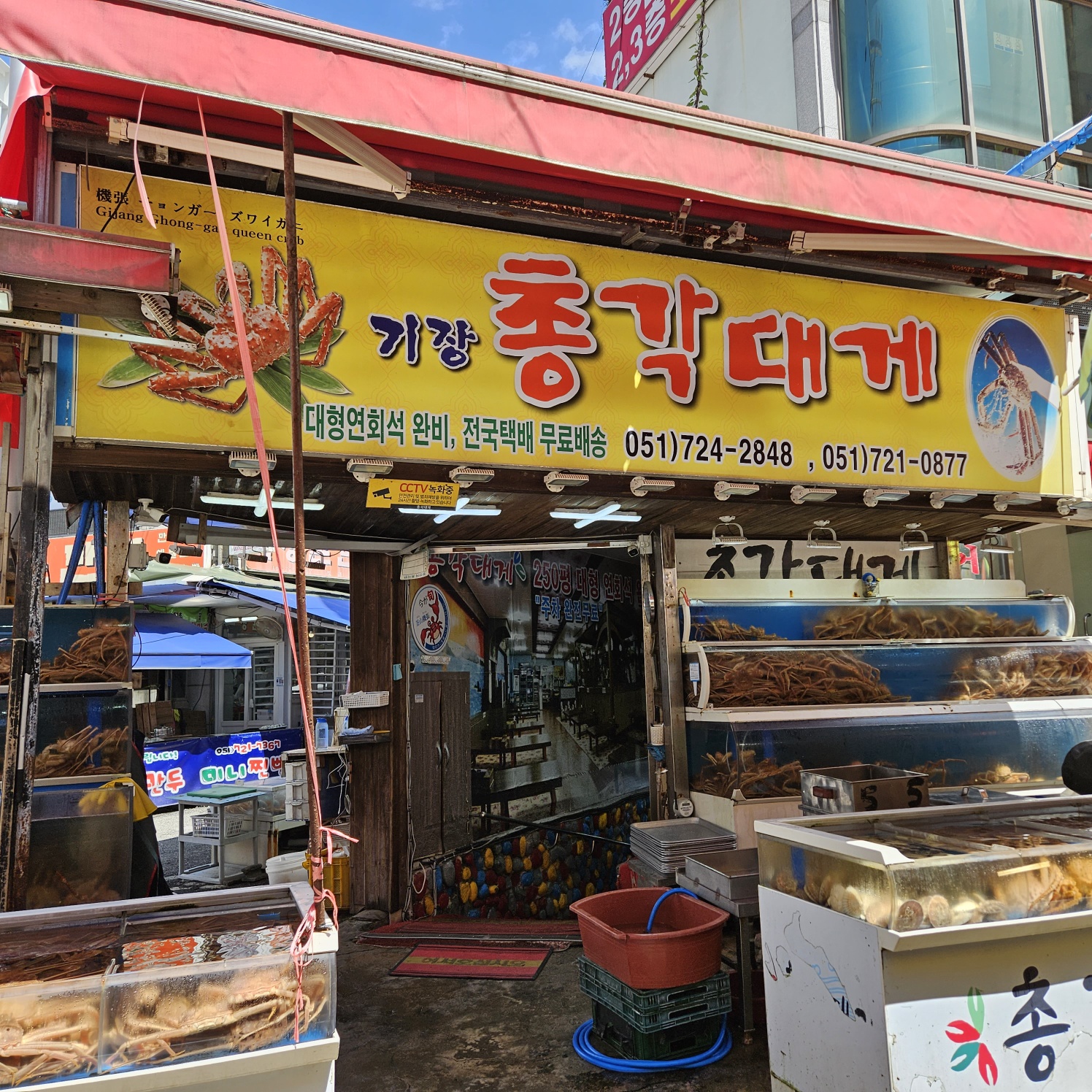 기장총각대게