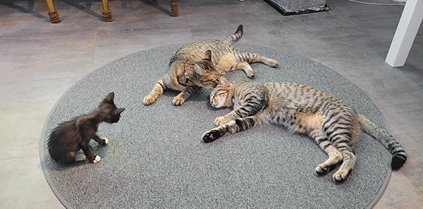 이룸 공유오피스 대표 이미지