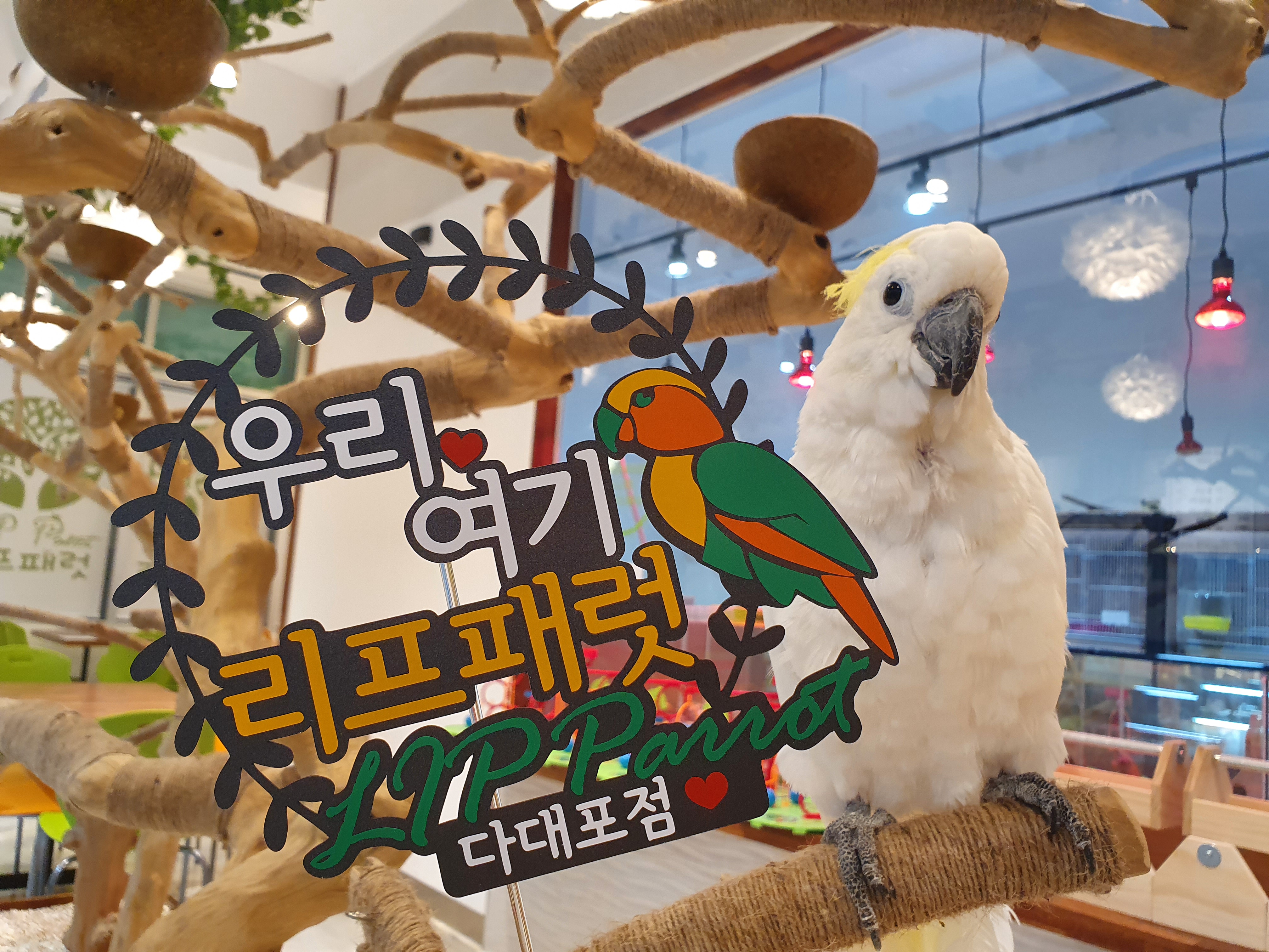리프패럿 다대포점
