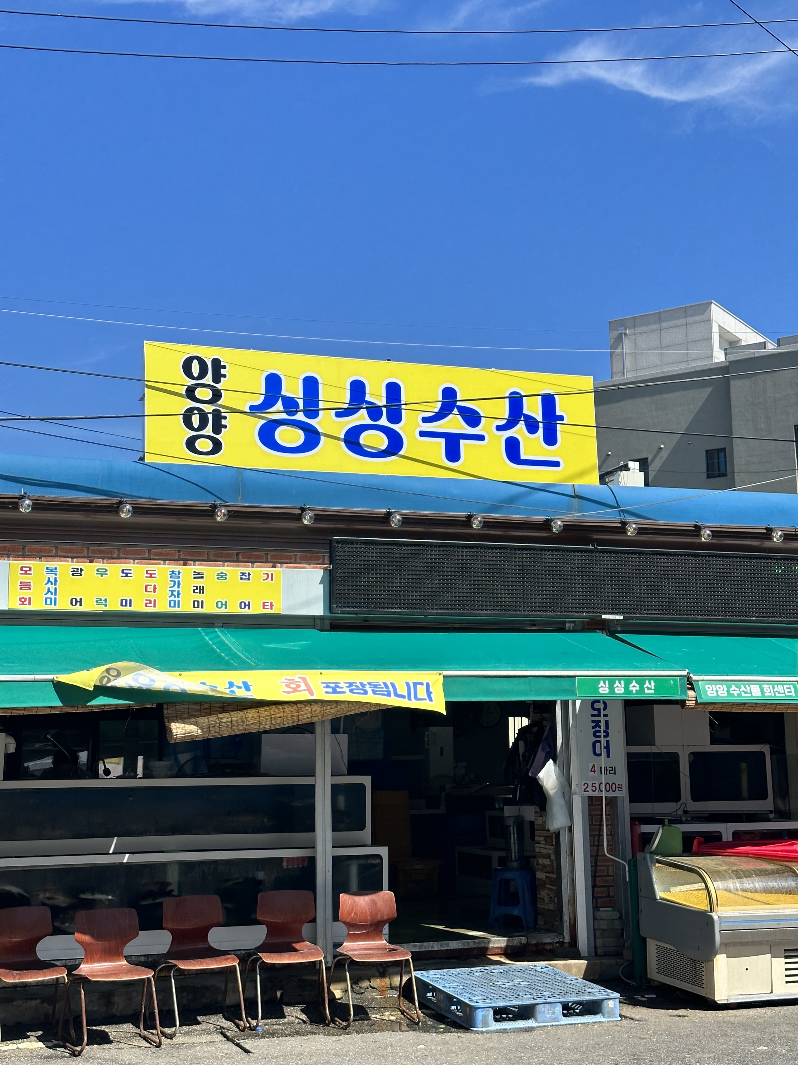 양양싱싱수산