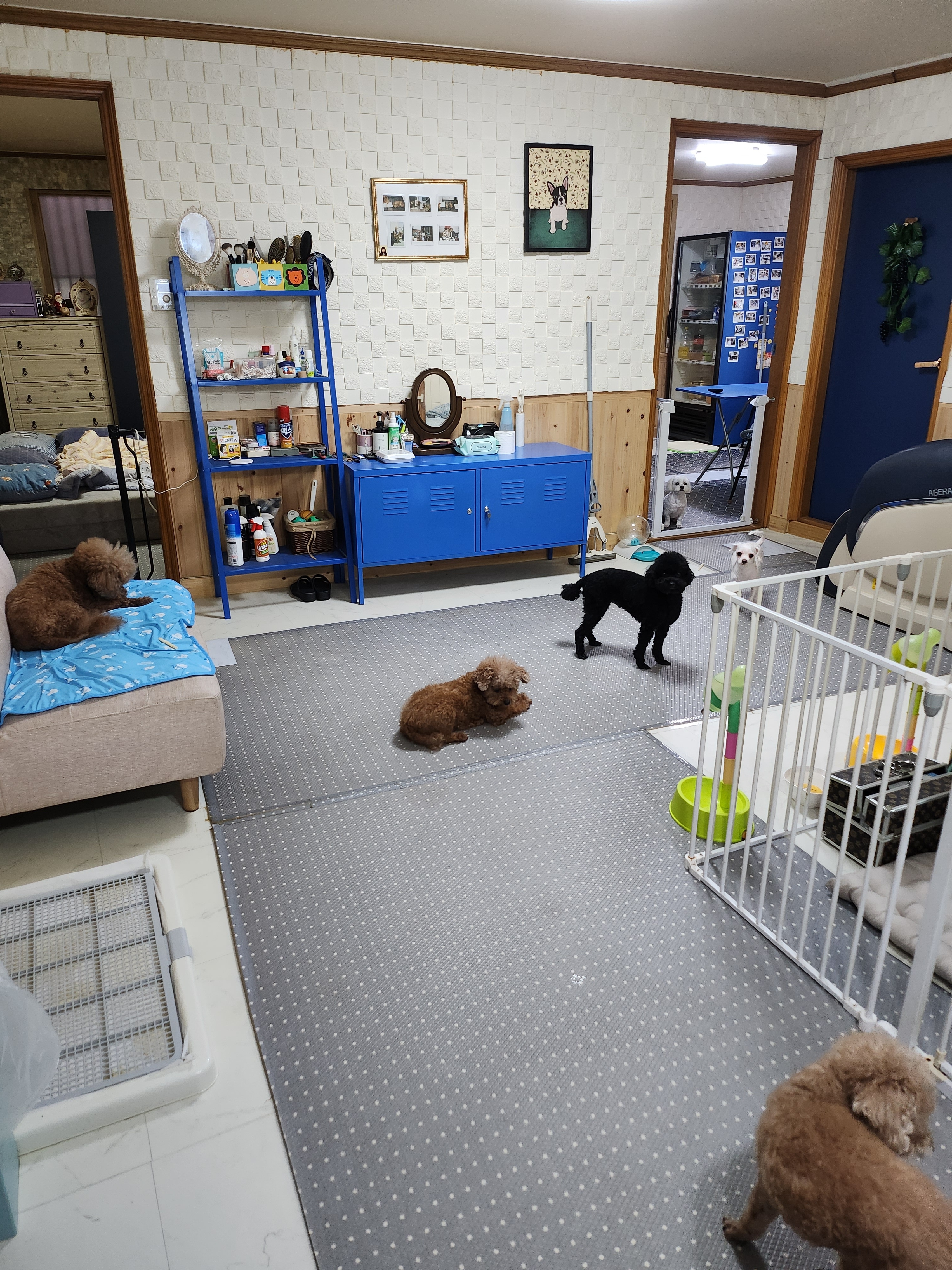 사랑한개너양 대표 이미지