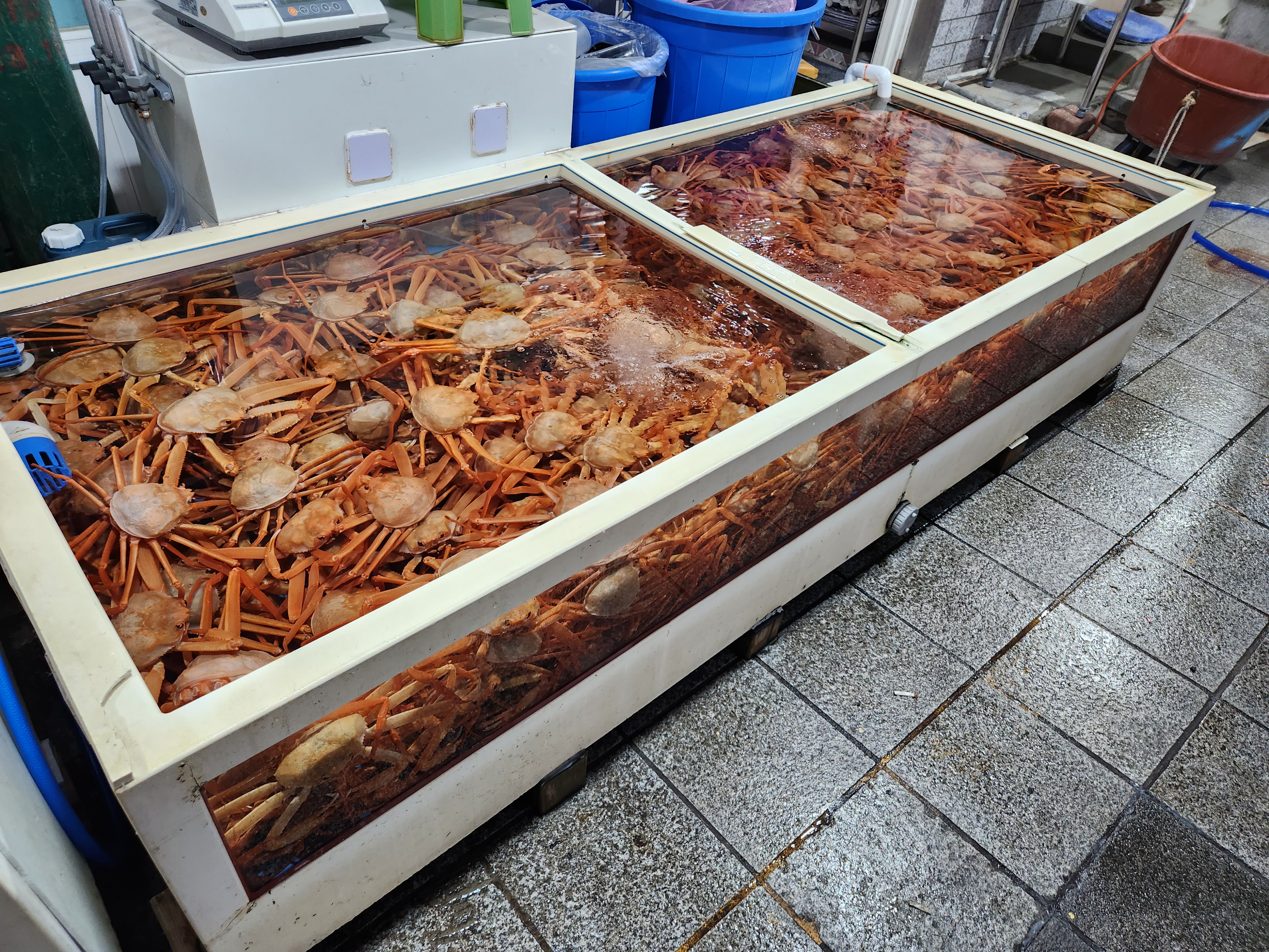 새댁이수산