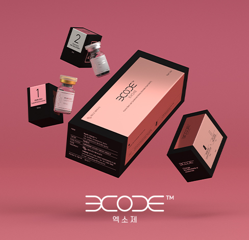 레겐보겐