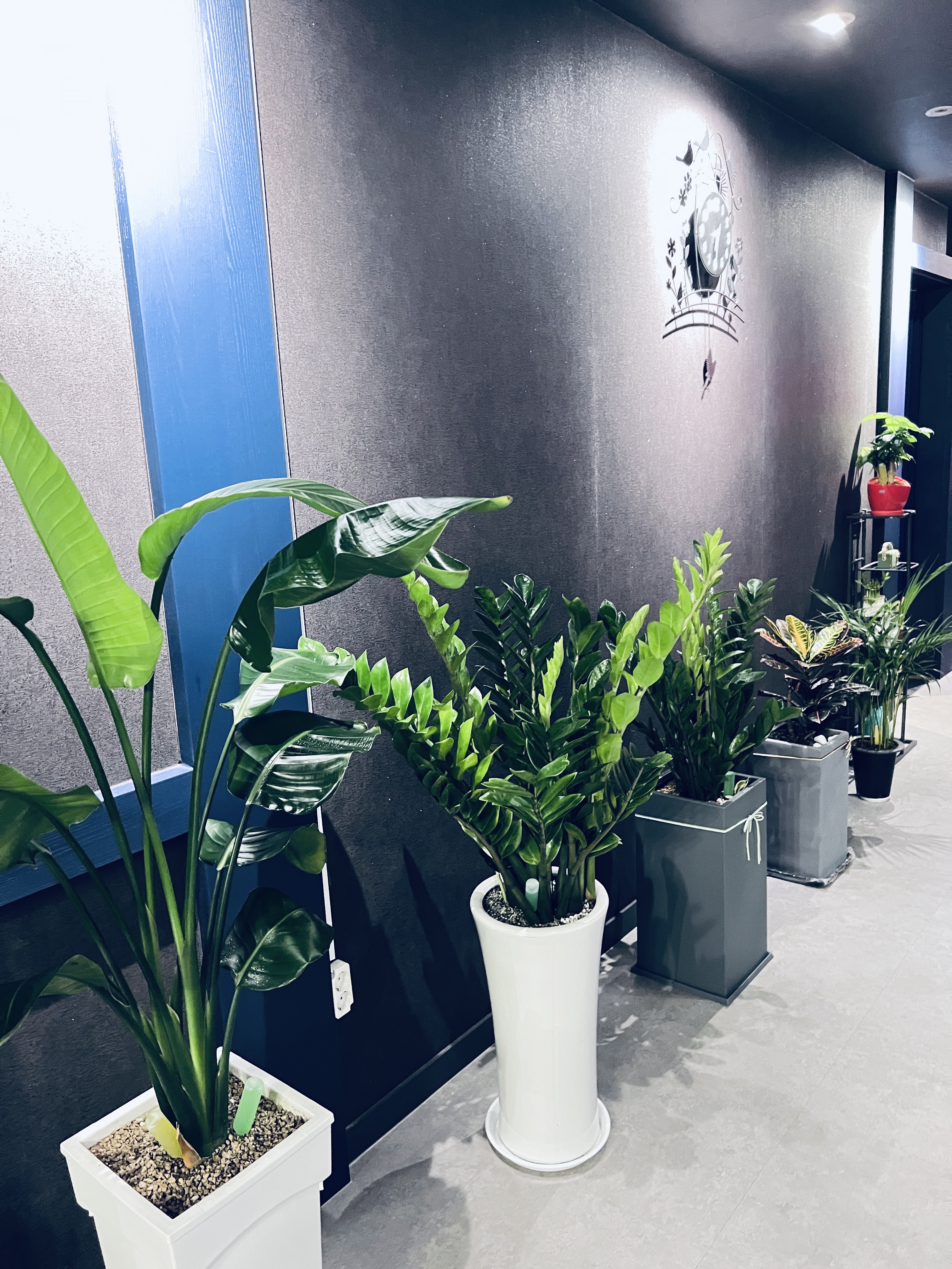 베이징정통마사지 photo 6
