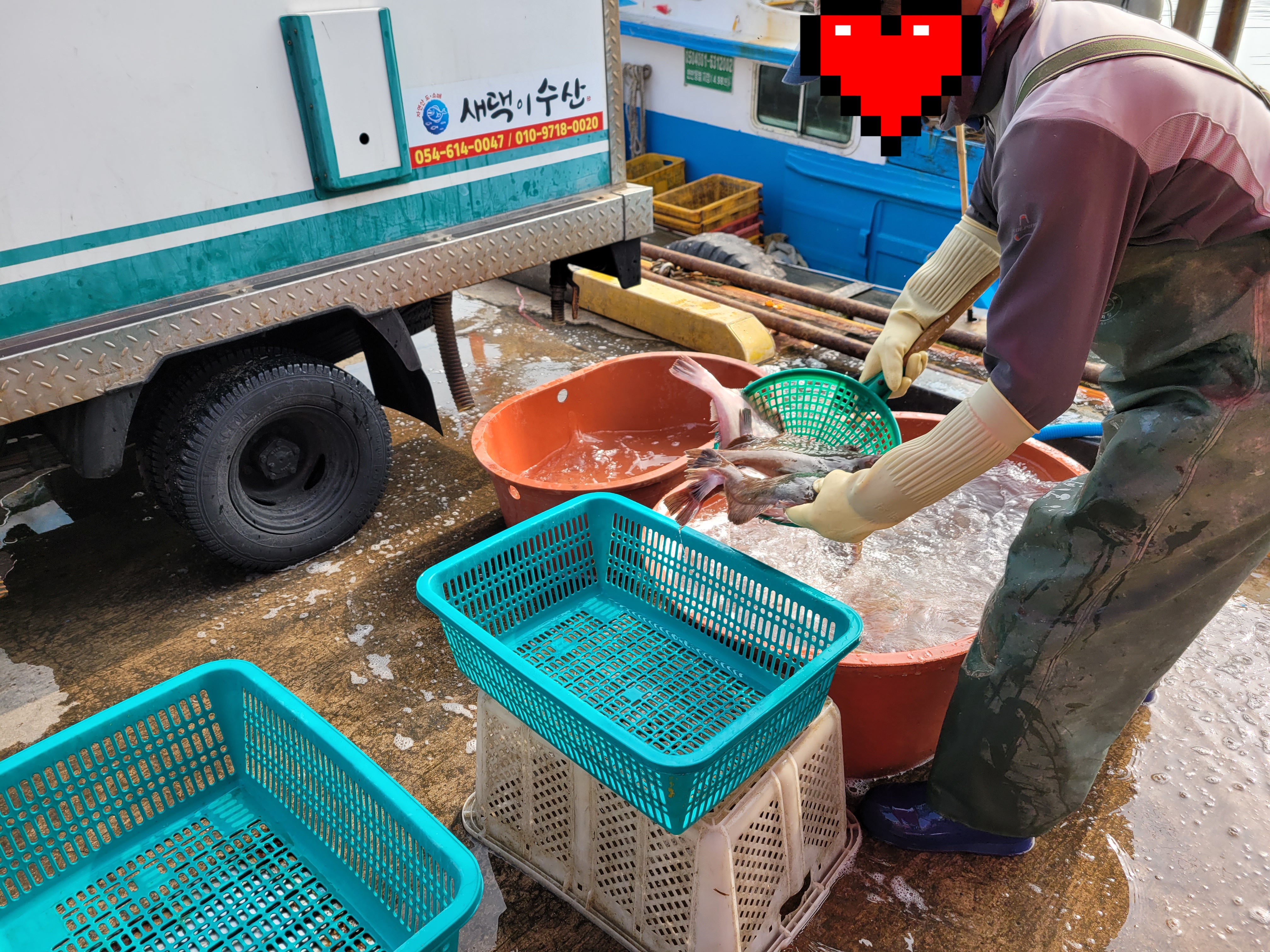 새댁이수산