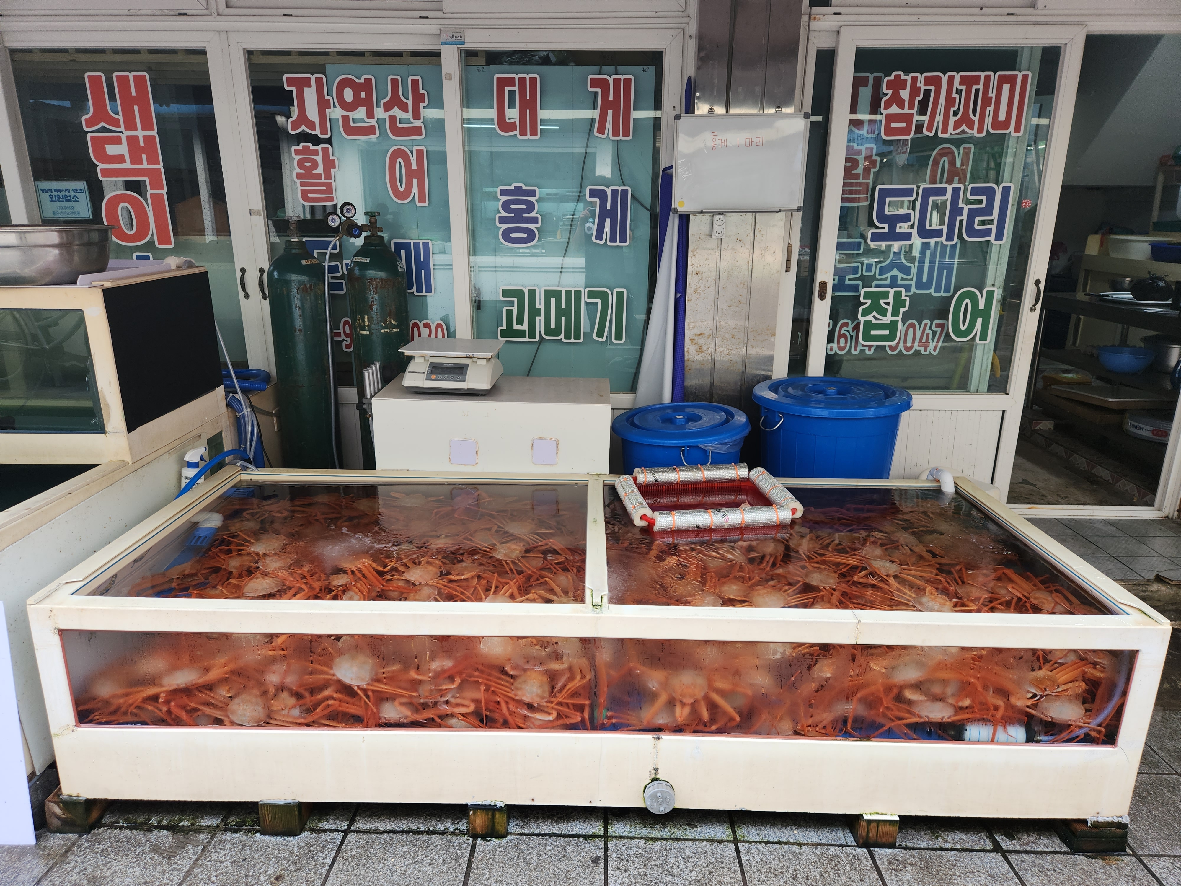 새댁이수산