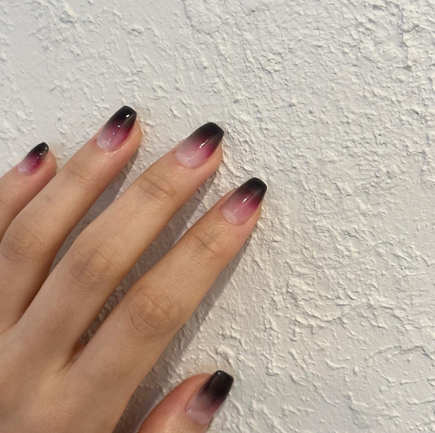 네일앤