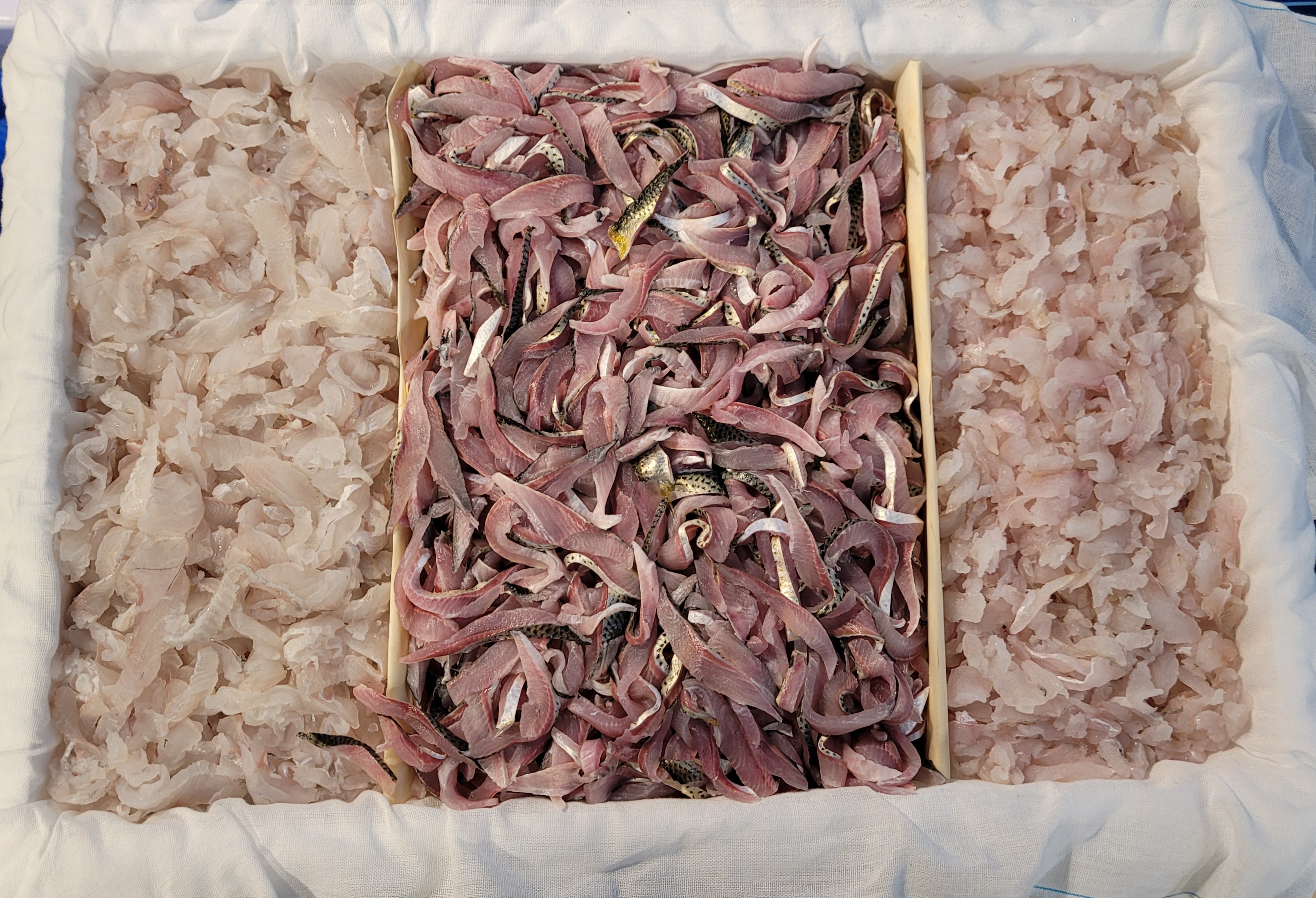 새댁이수산