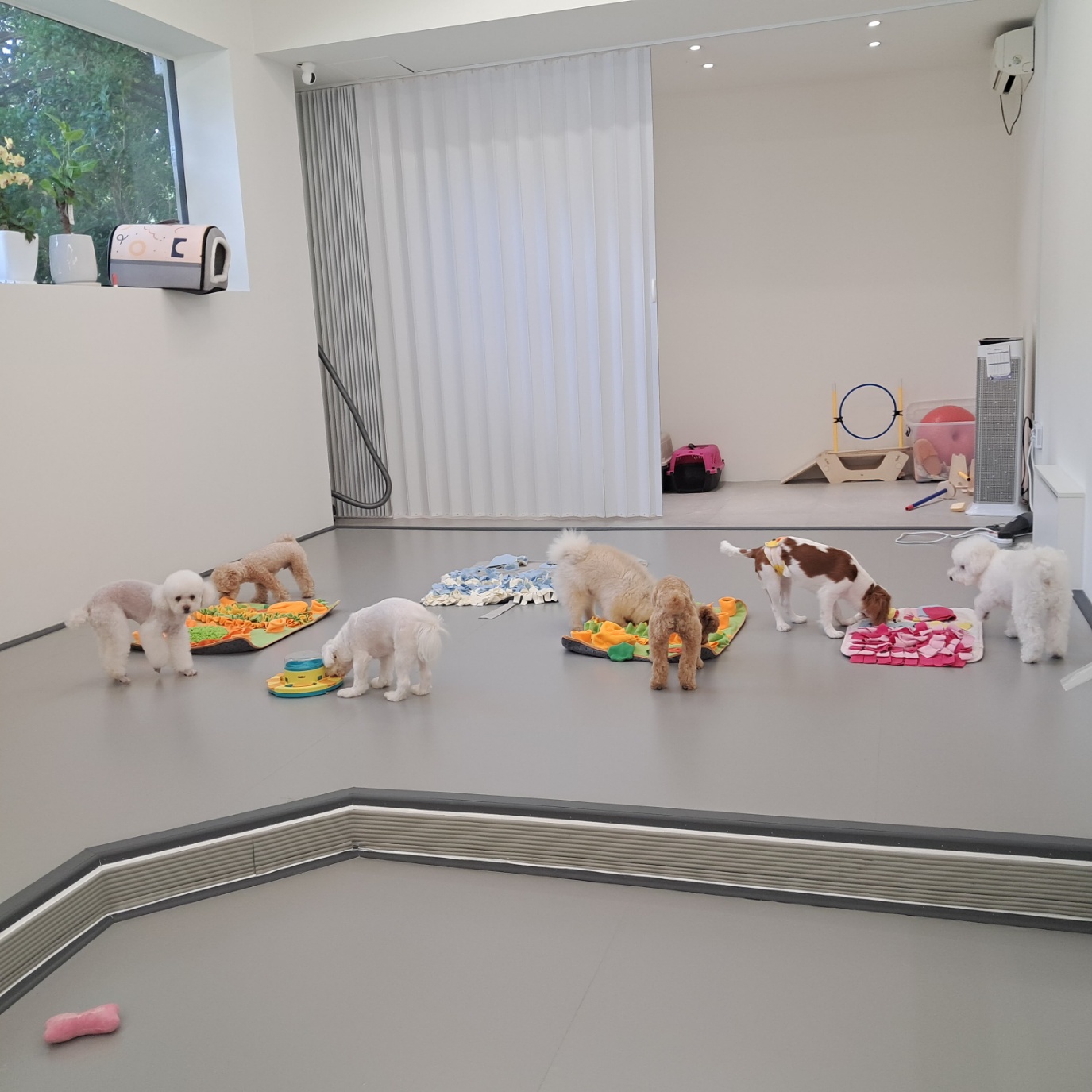 멍끌레르 대표 이미지