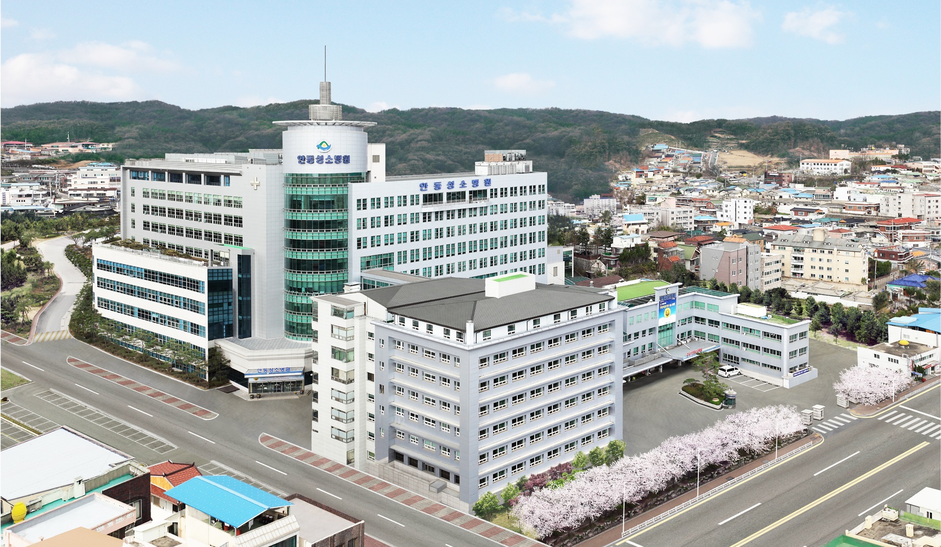 안동성소병원