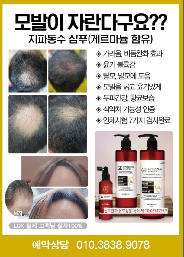 룩스