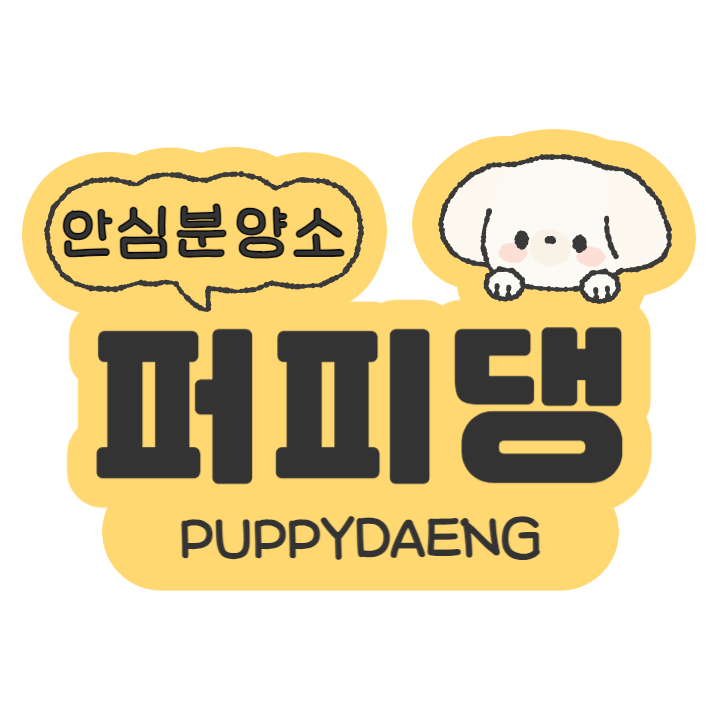 퍼피댕 강아지분양 고양이입양 안심분양소 대전본점