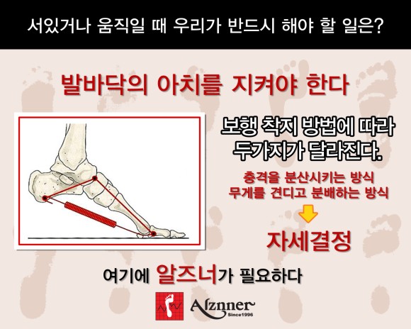 알즈너 모세대리점 대표 이미지