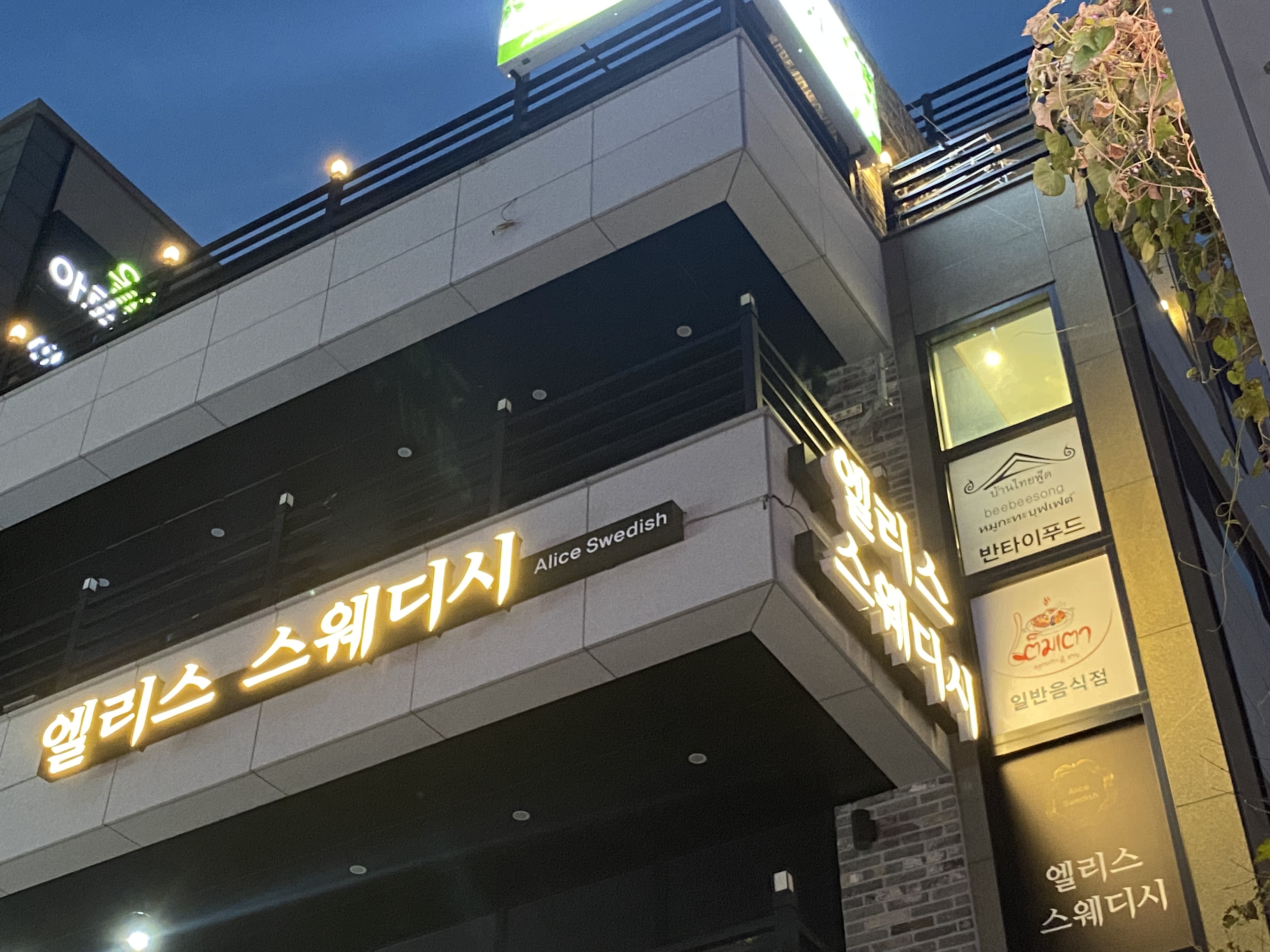엘리스 스웨디시 photo 2