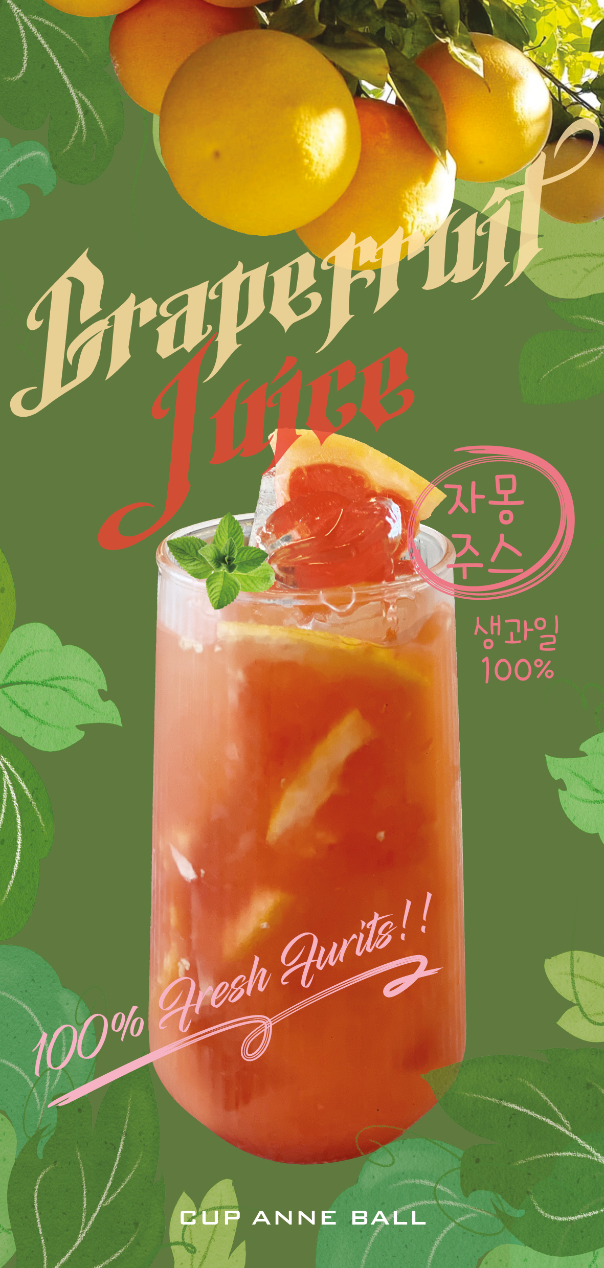 컵앤볼