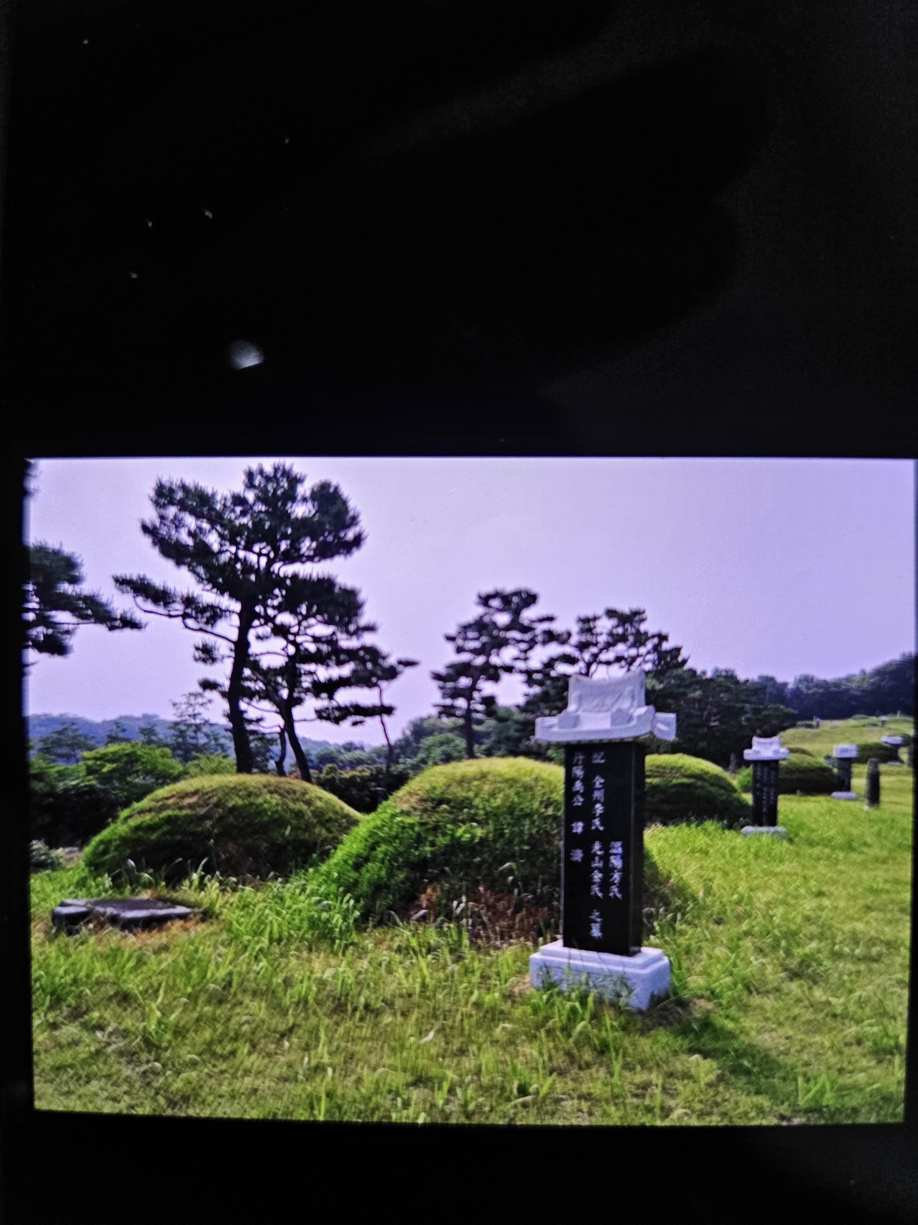 우리동네장묘사