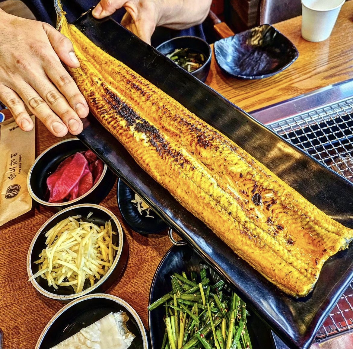 송도장어
