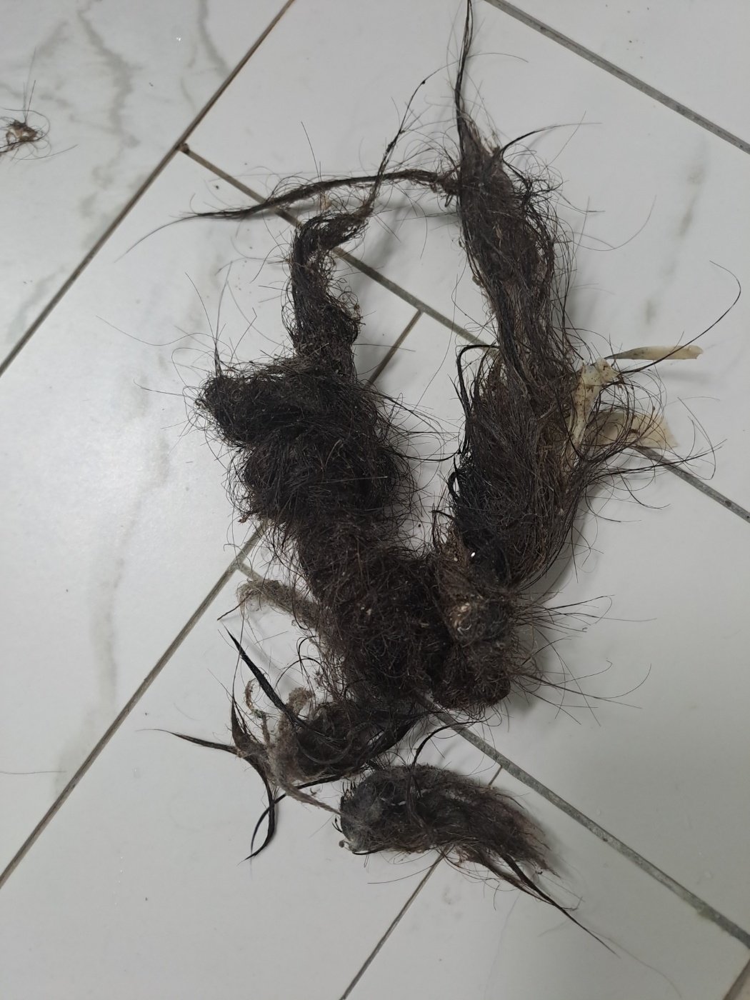 하수구싱크대변기막힘뚫음고압세척내시경변기배관수리교체가격