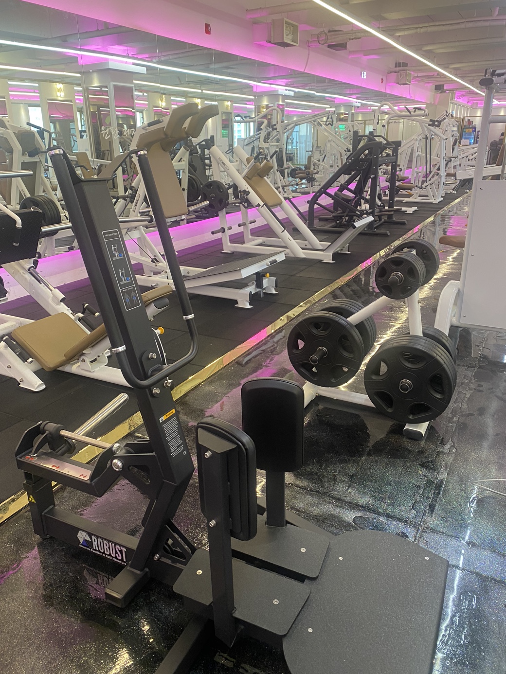 라운지 휘트니스 운양점