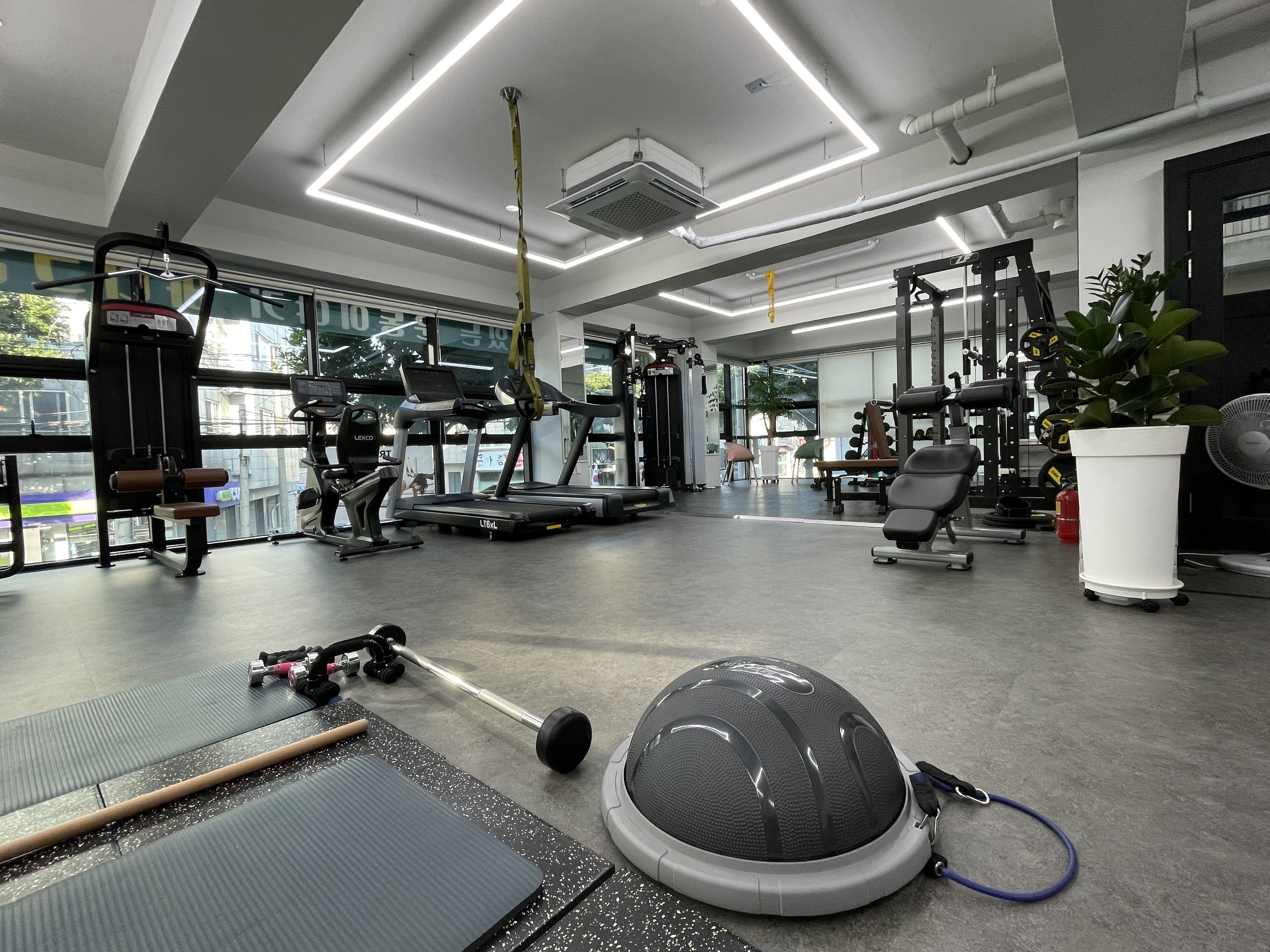 바디그리기 대표 이미지