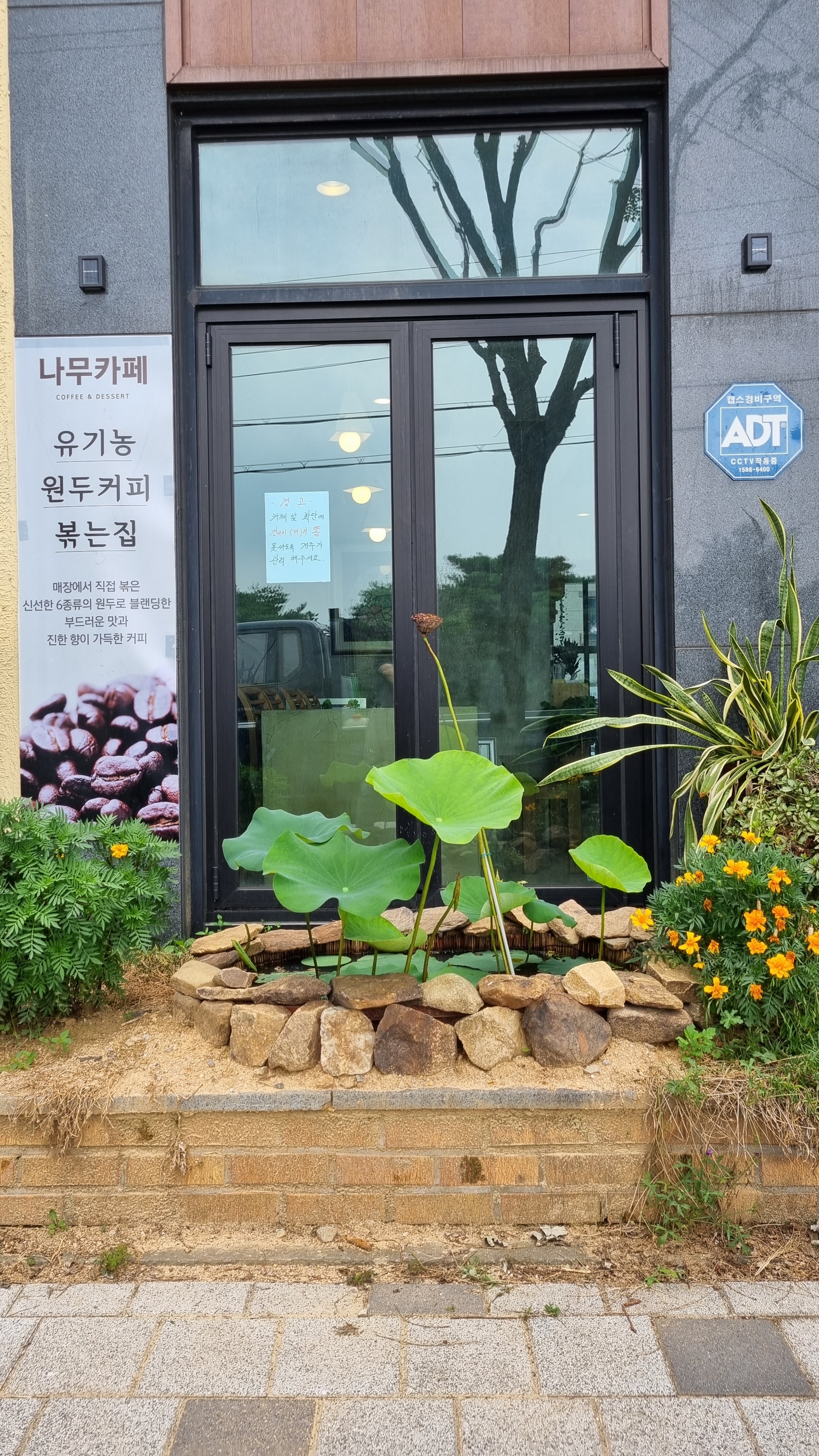 나무카페