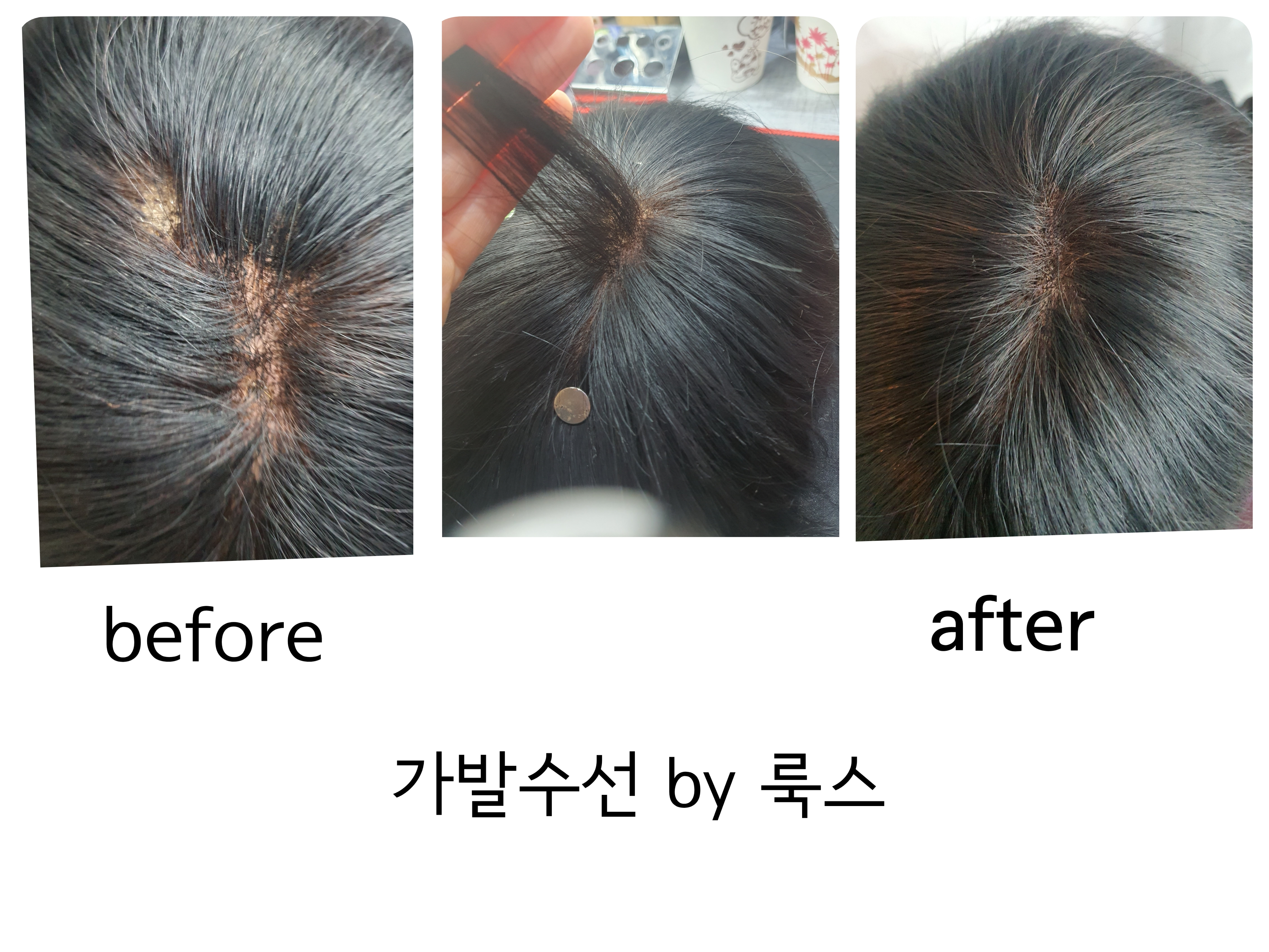 룩스