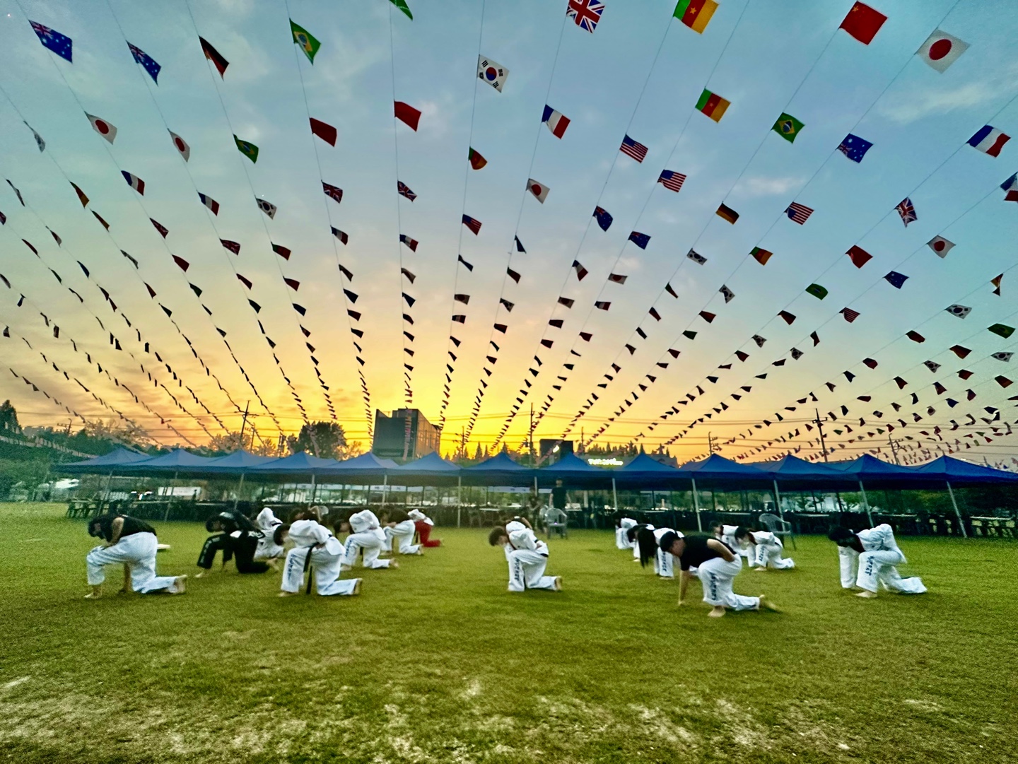 용인대코리아태권도