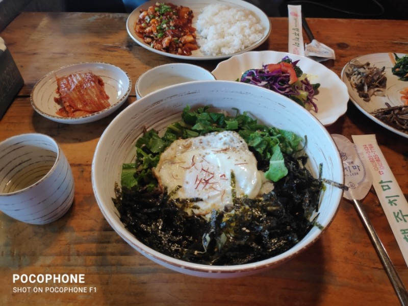 행주치마 충청 애견맛집