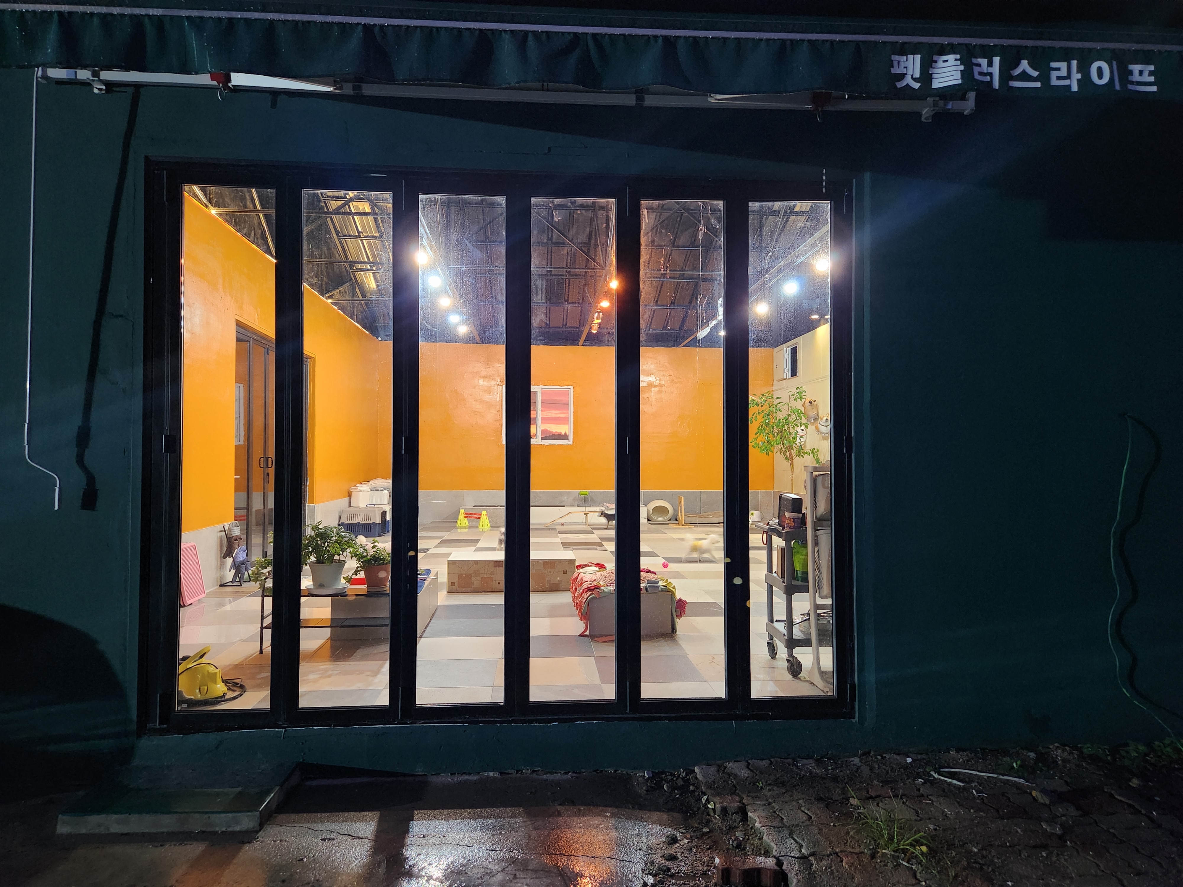 펫플러스라이프 애견미용호텔유치원 24시간돌봄센타 대표 이미지