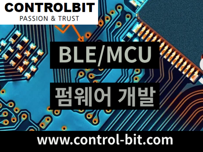 컨트롤비트