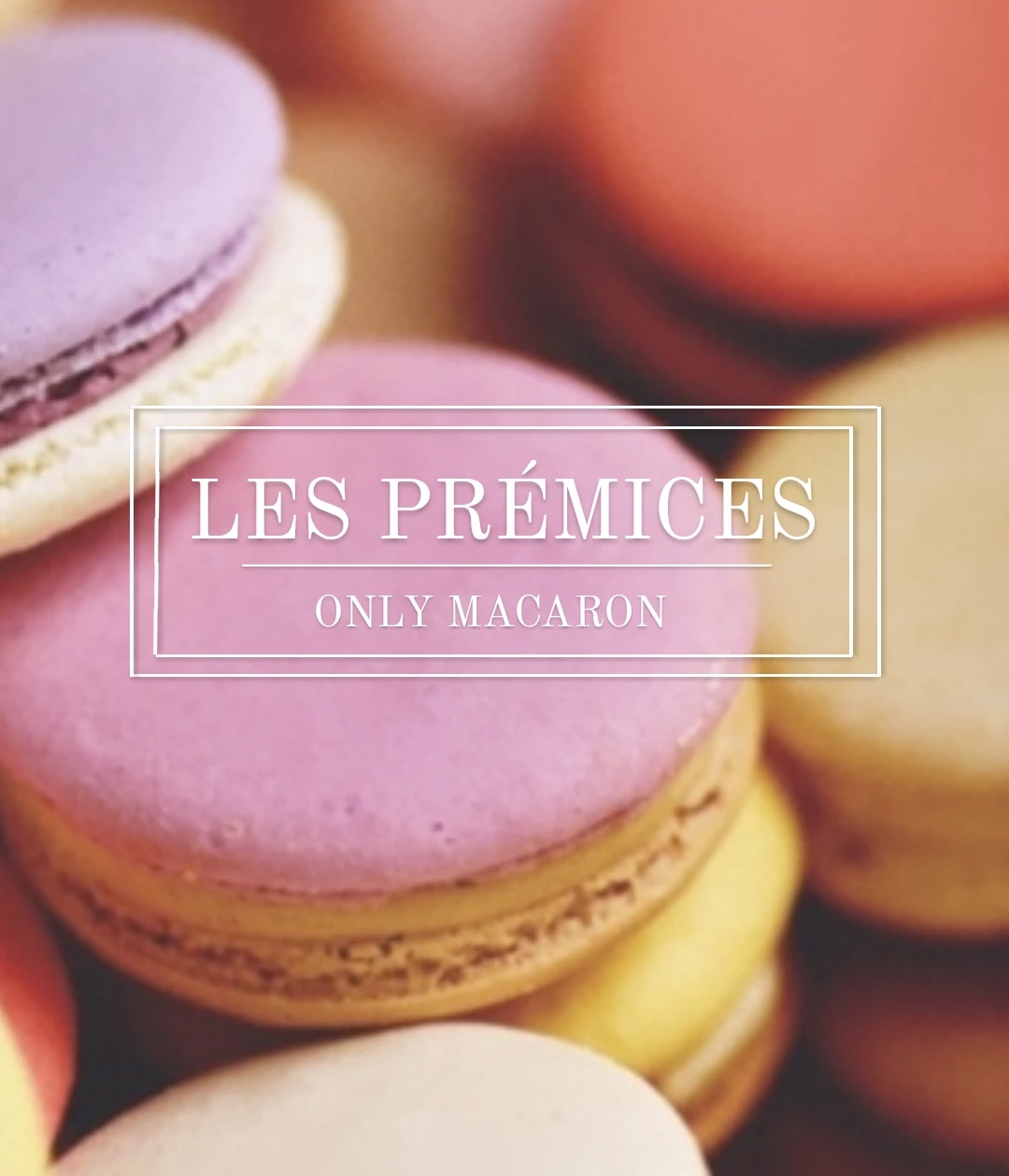 레프레미스 대표 이미지