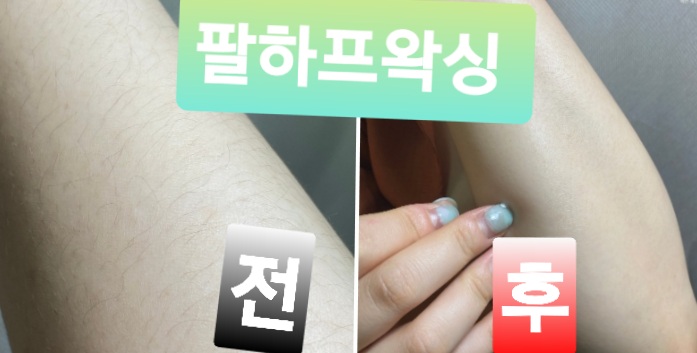 호랑나비 피부앤바디