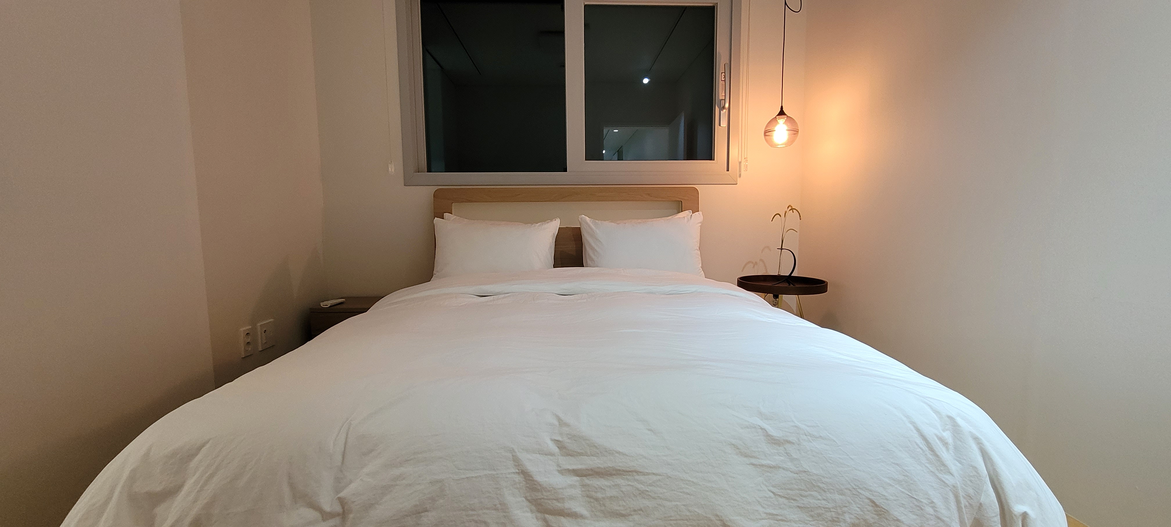 솔낭