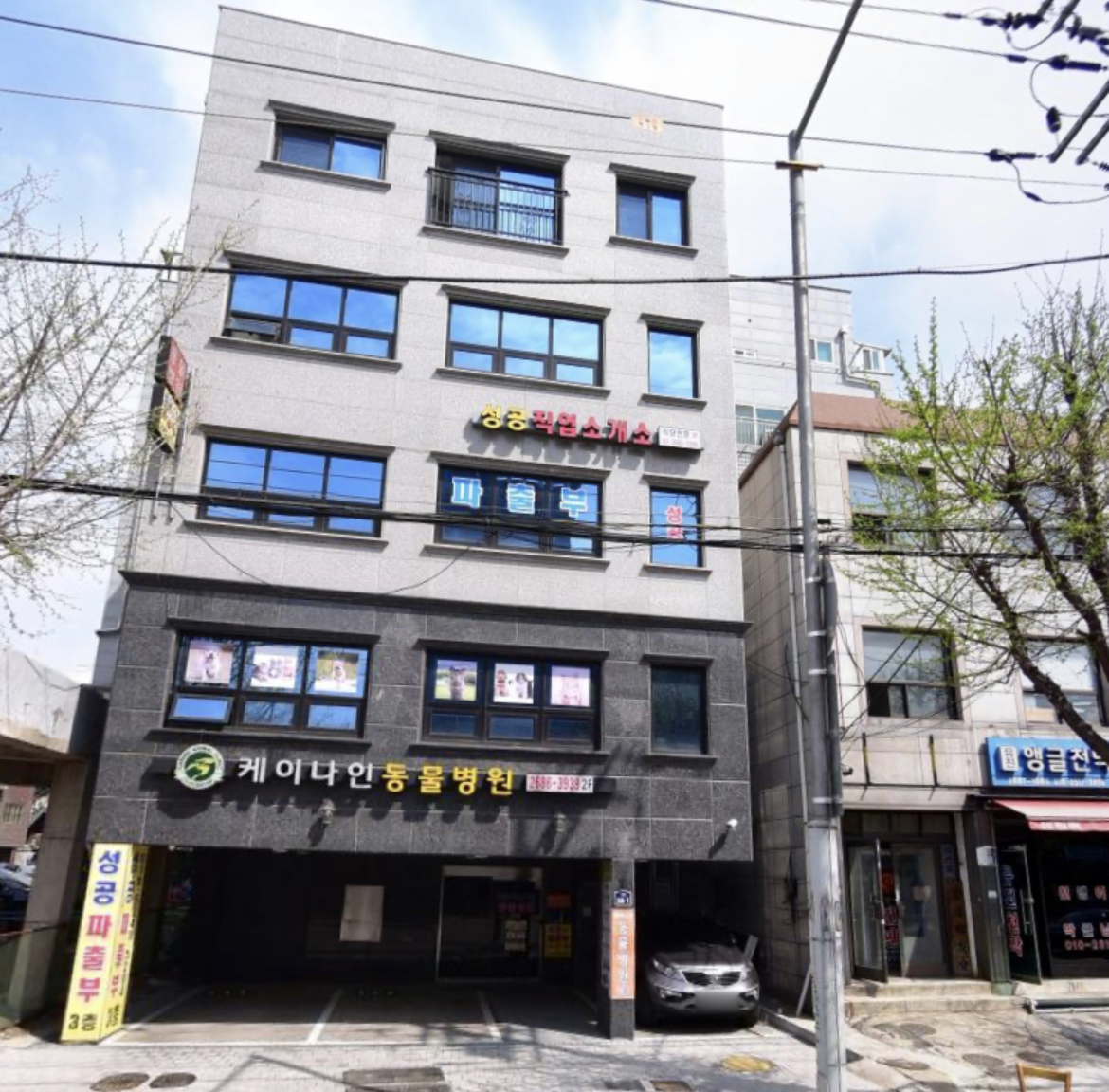 케이나인종합동물병원 대표 이미지