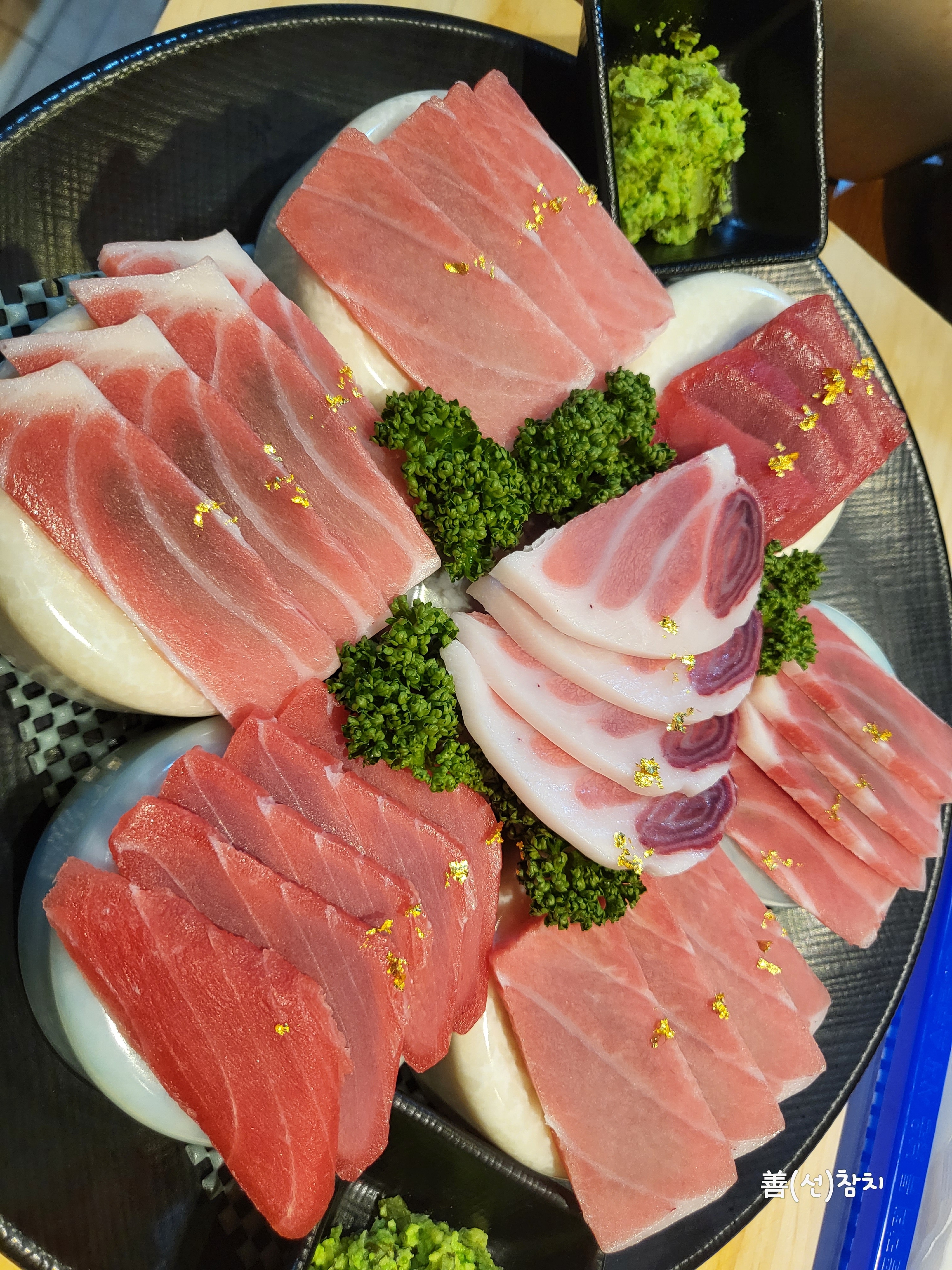 선참치