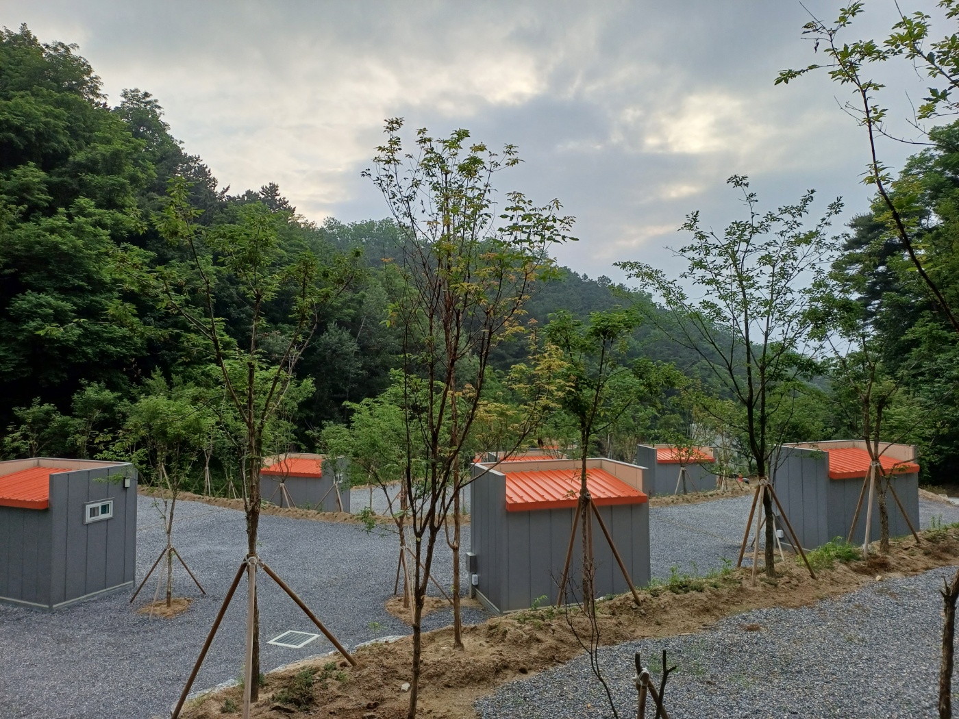 몽상핀 — 제천시
