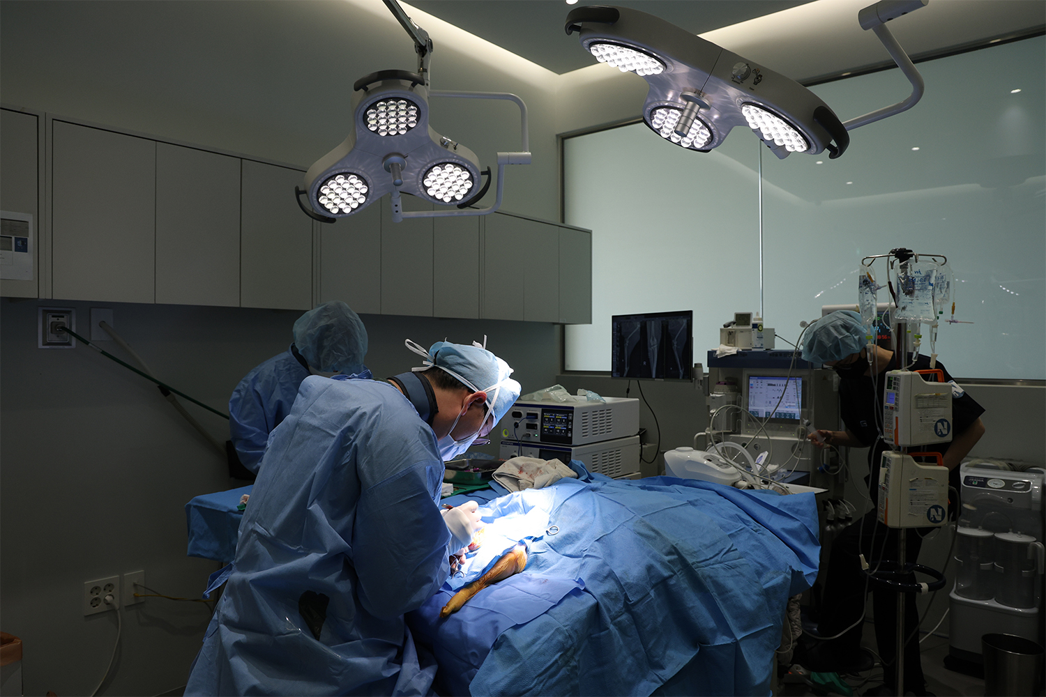 바르고바르개 대표 이미지