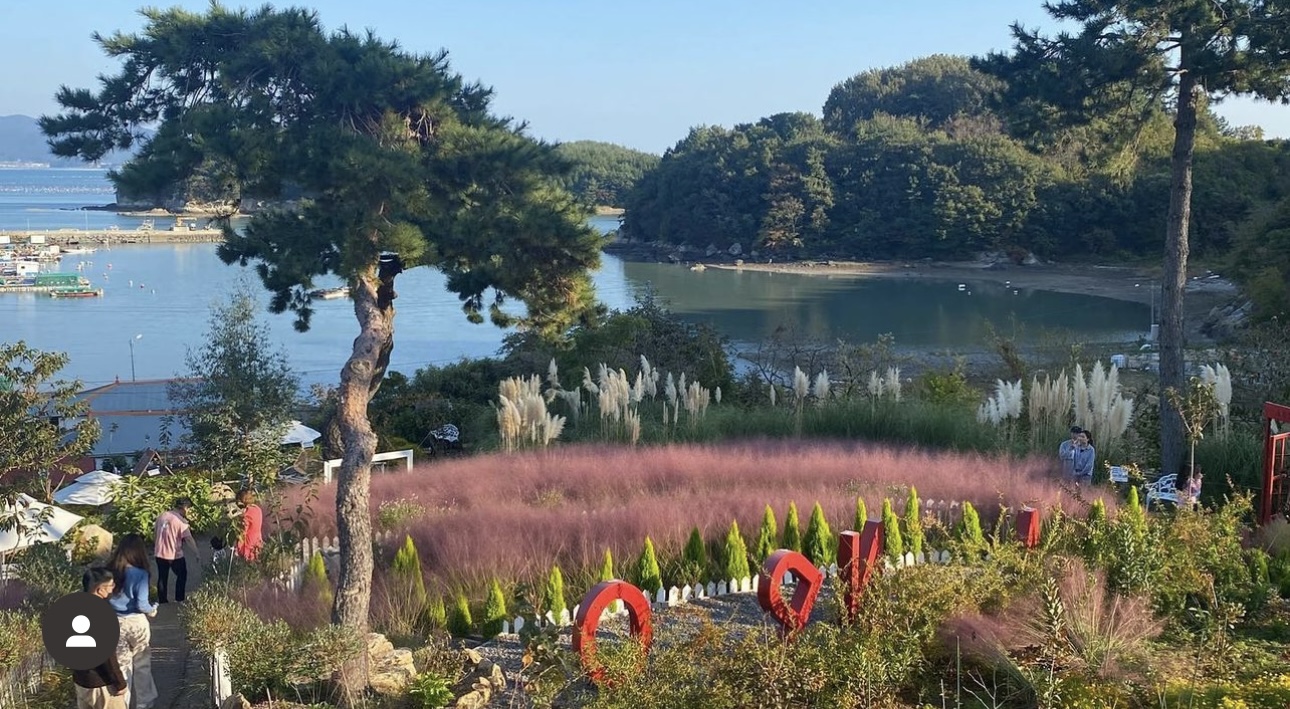 카페 안포