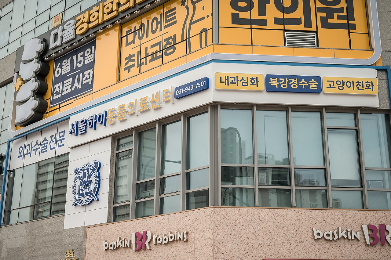 서울하이동물의료센터 대표 이미지