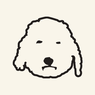 보들타운