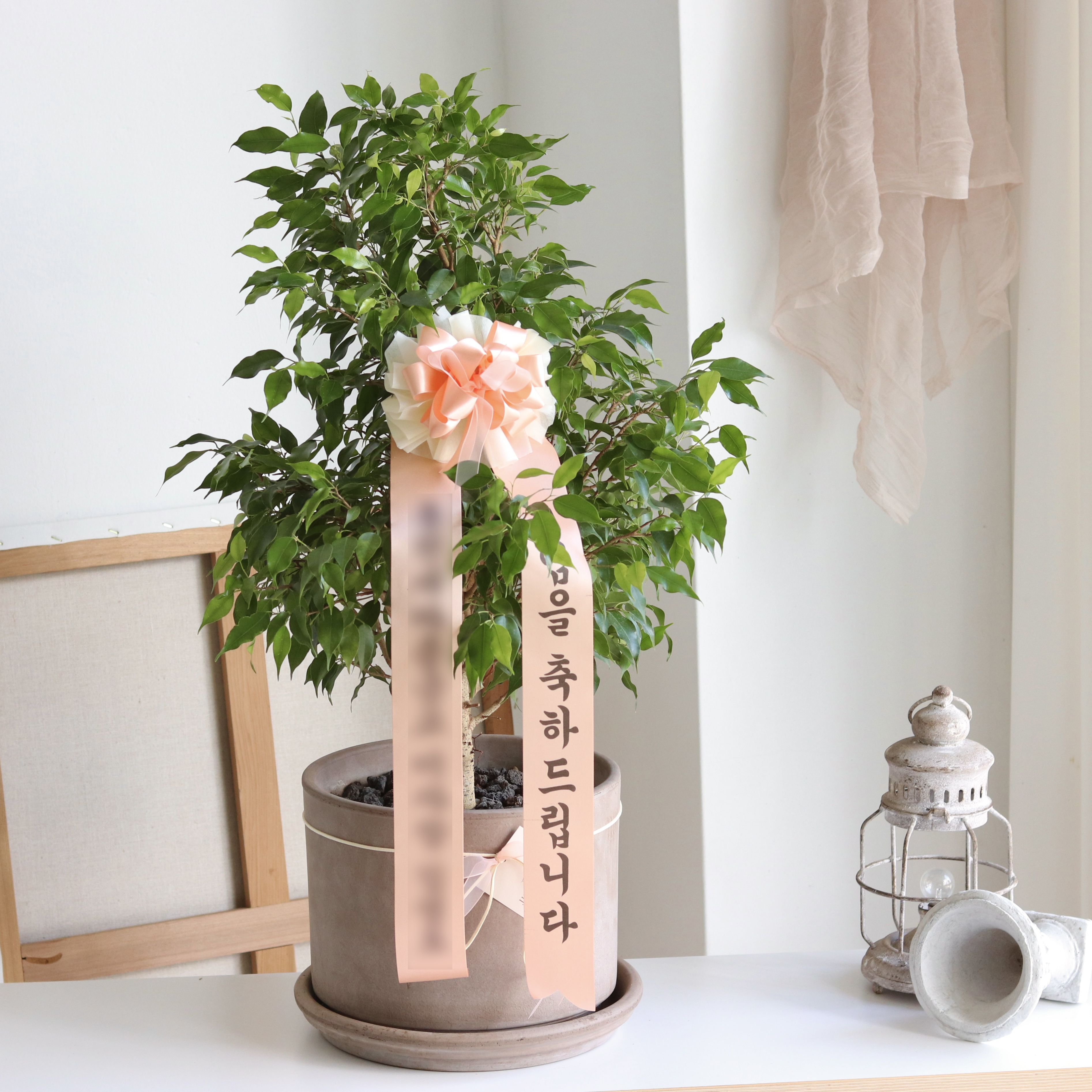 진플라워