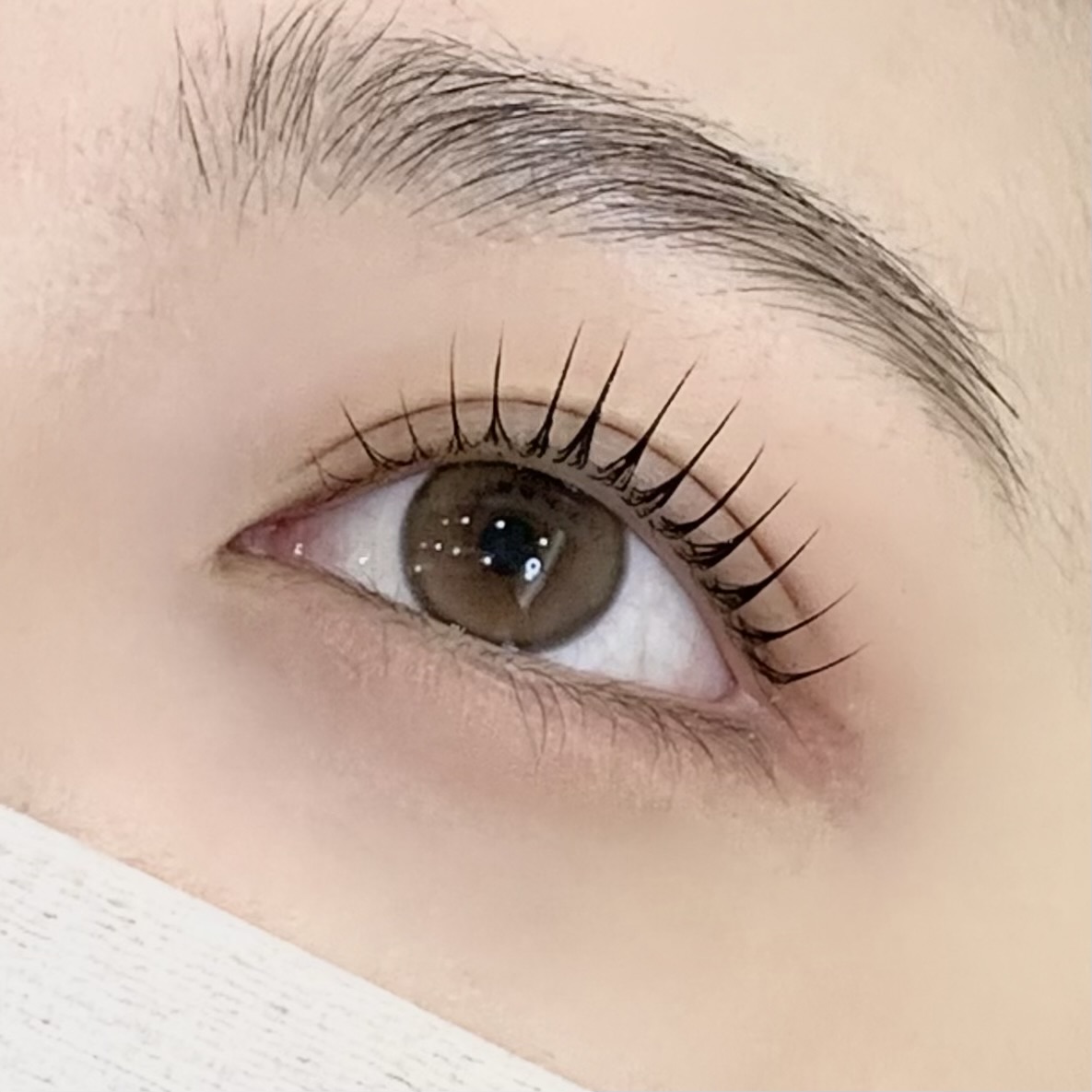 윈느제이 대표 이미지