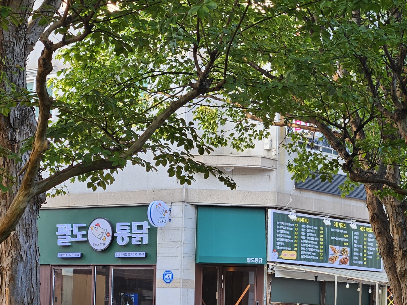 팔도통닭