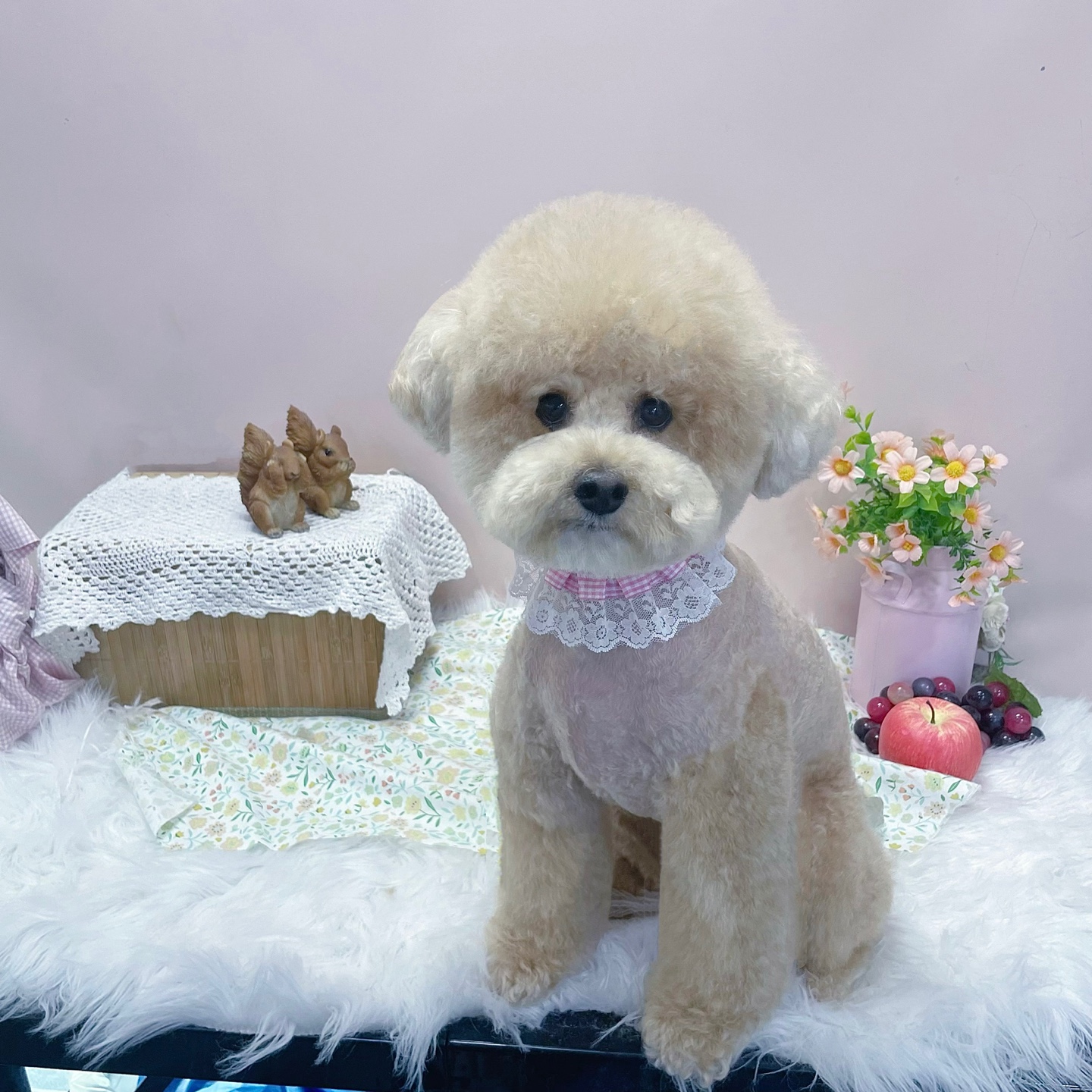 쁘띠살롱 대표 이미지