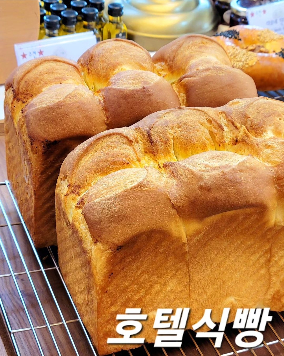 다코네 구좌 평대리 세화 카페