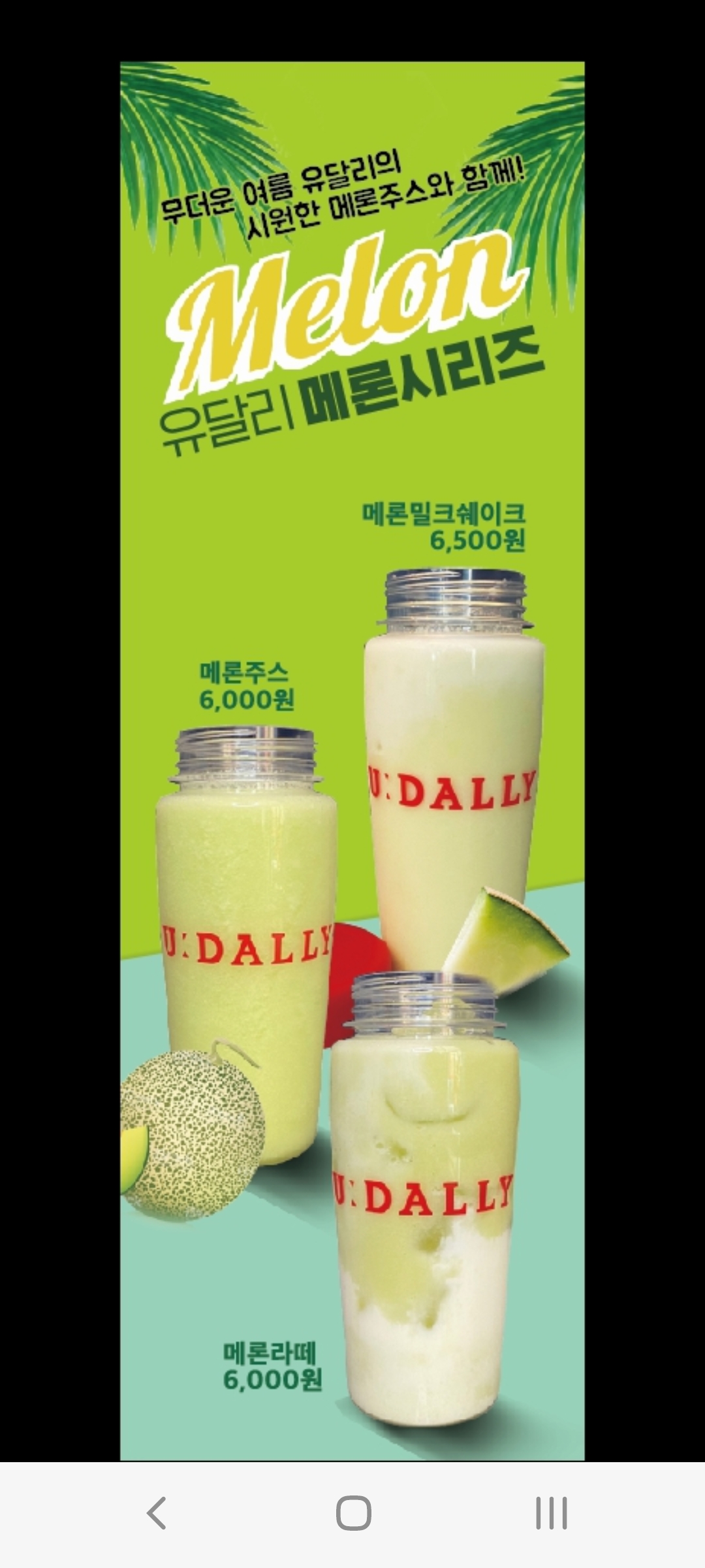 유달리 광주상무점 전라 애견맛집