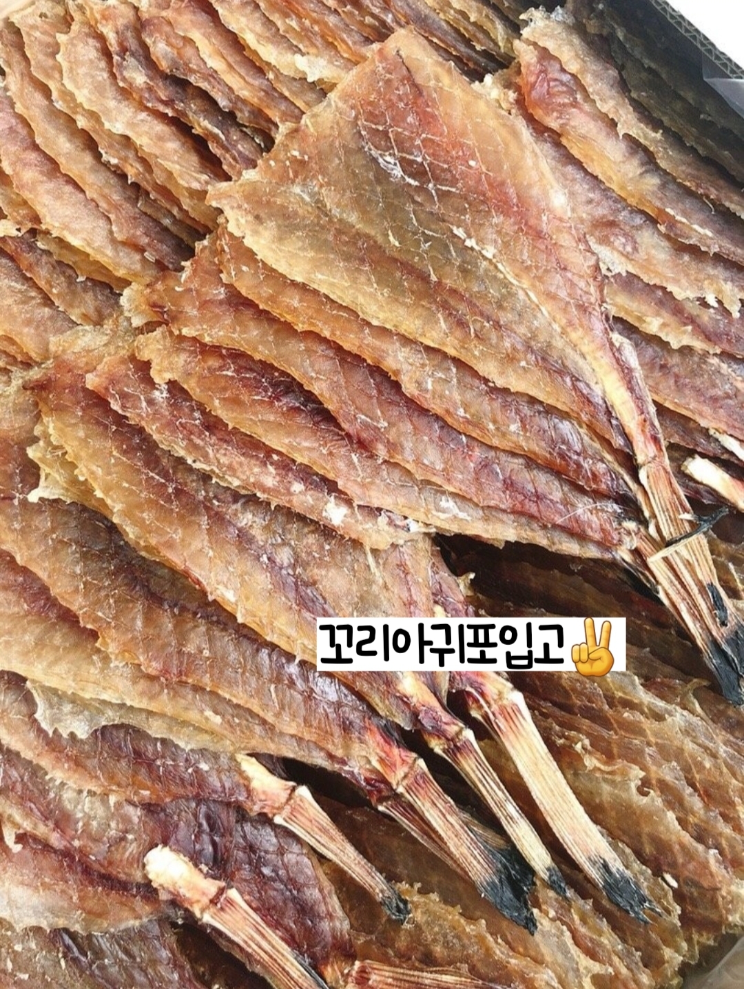 어쭈구리왕문어 구미점