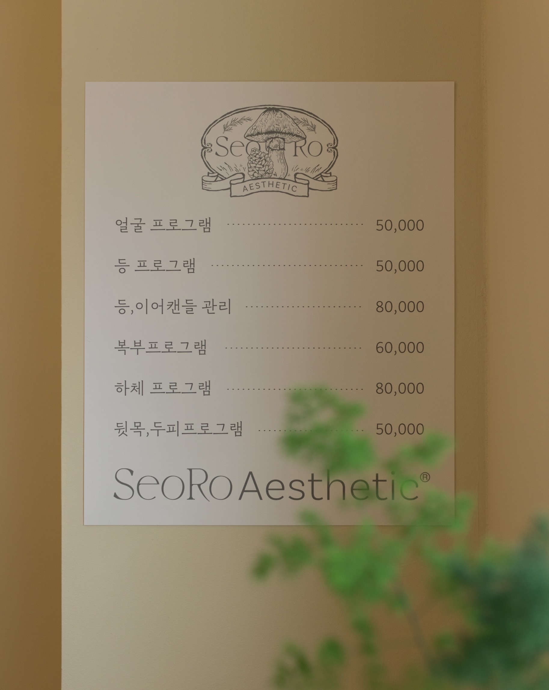서로에스테틱 대표 이미지